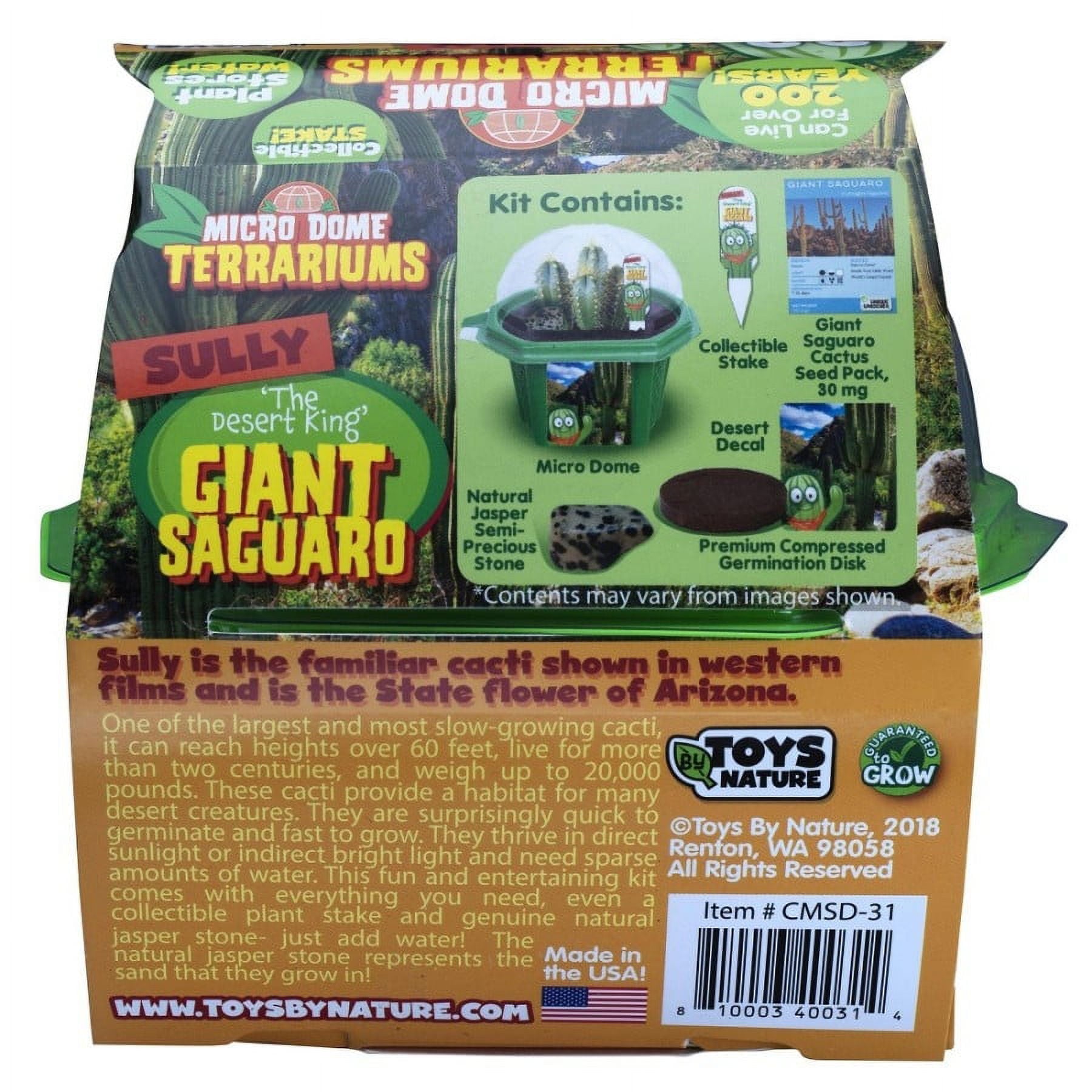 Alternative view of Toys By Nature Sully the Desert King Giant Saguaro Cactus Terrarium Kit