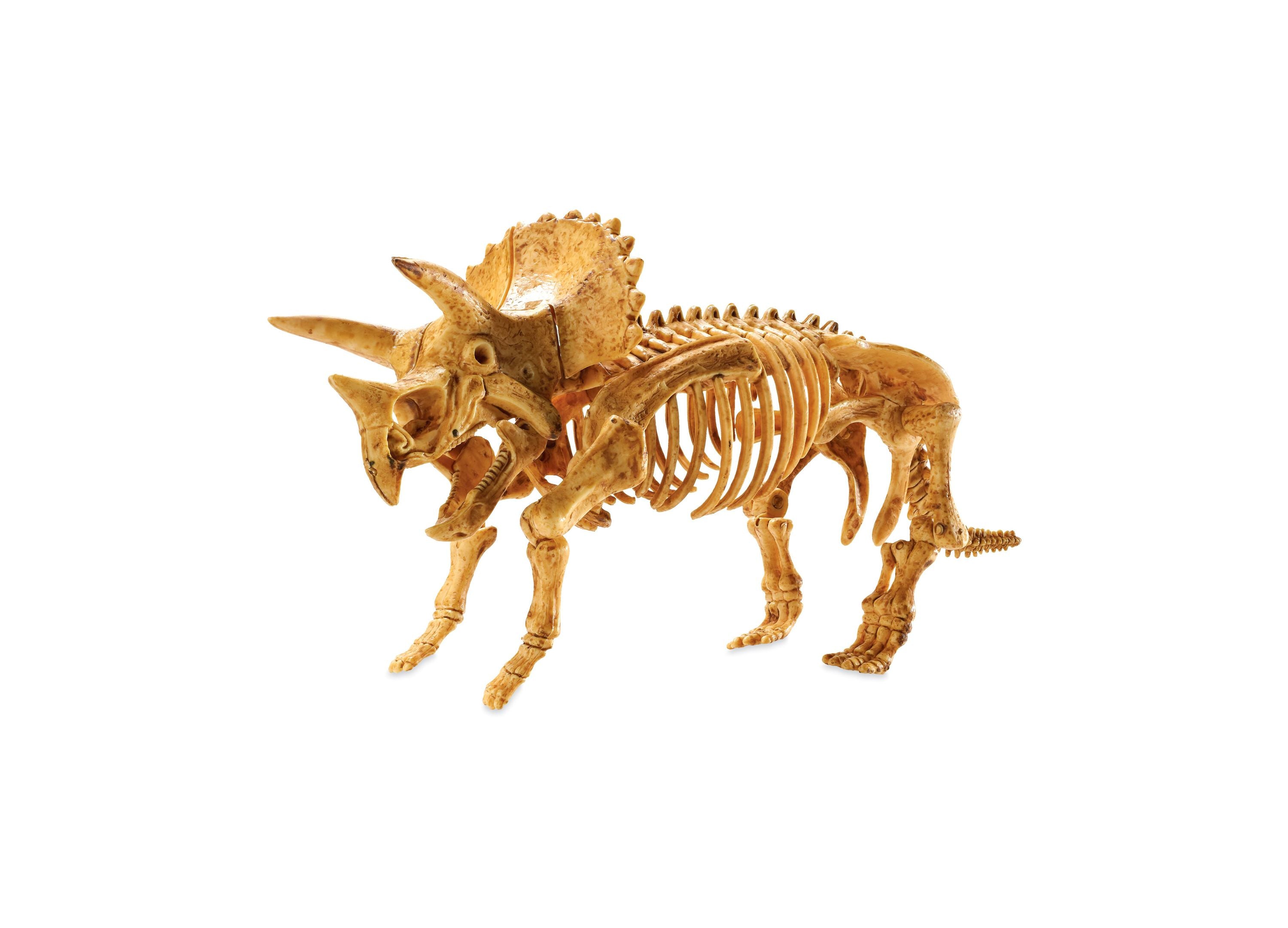 Alternative view of MindWare Dig It Up! Triceratops Dinosaur Model Excavation Kit