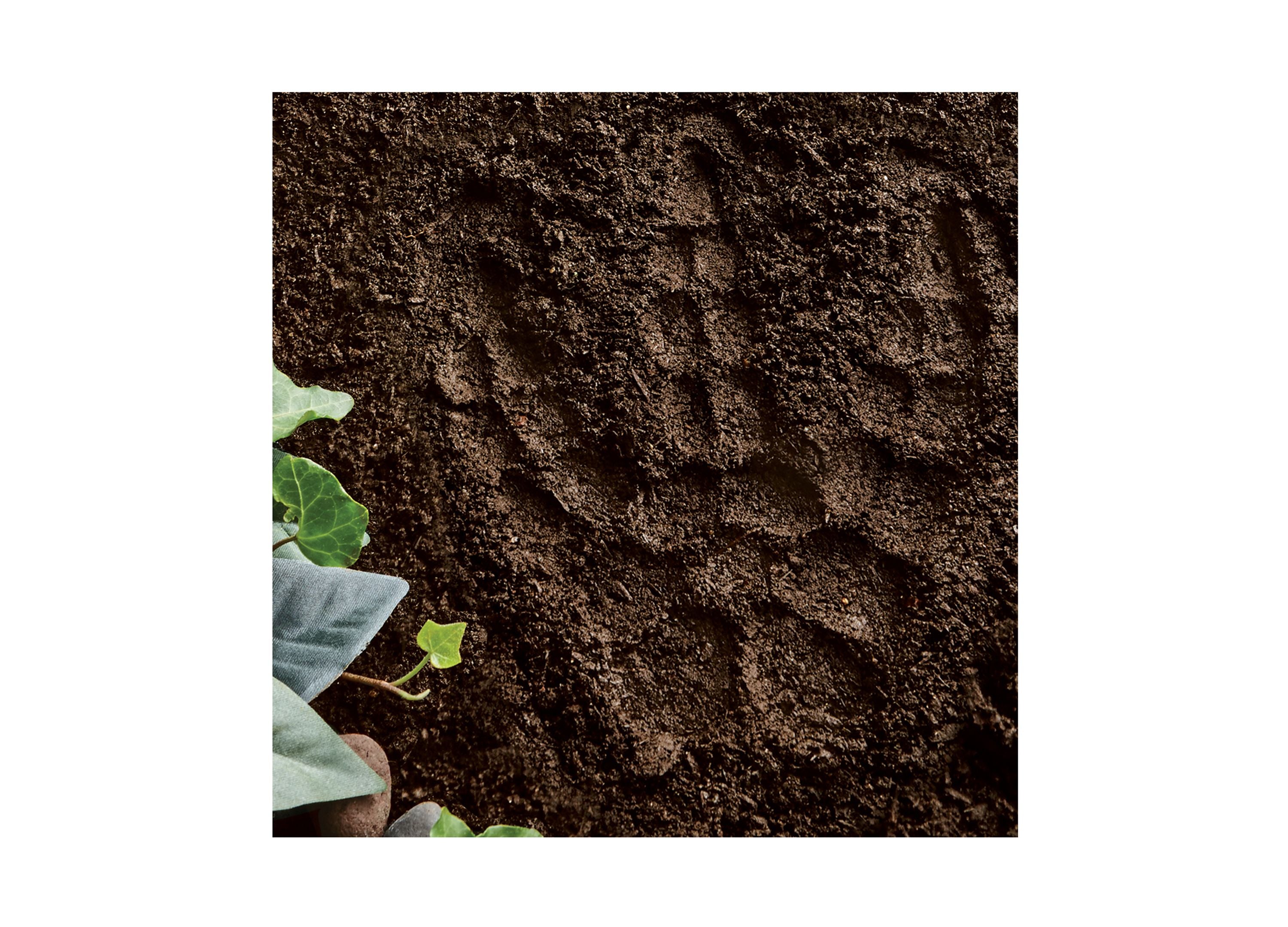 MindWare Dinosaur Footprint Paint-Your-Own Stepping Stone Kit - Image 4