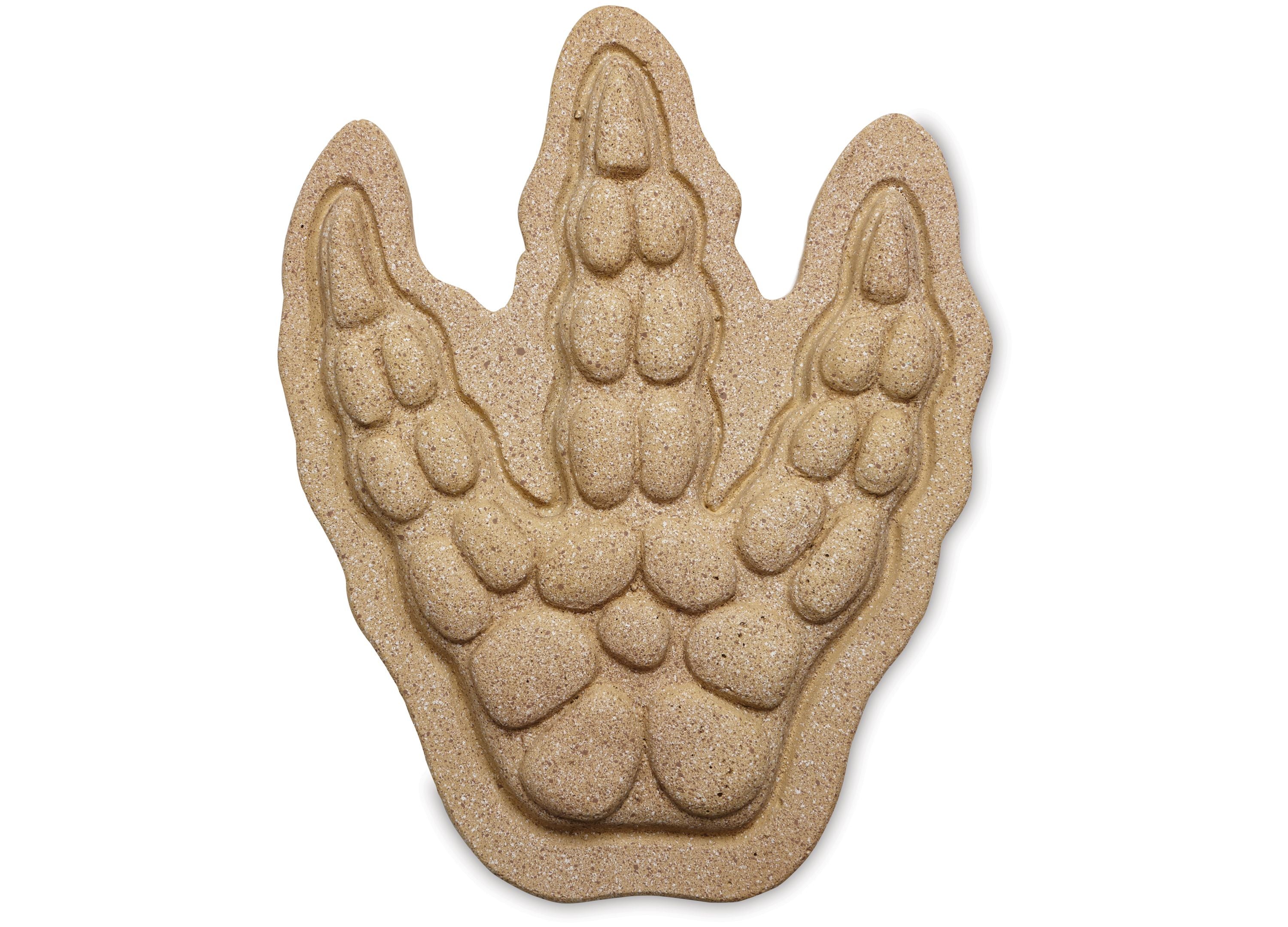 MindWare Dinosaur Footprint Paint-Your-Own Stepping Stone Kit - Image 6