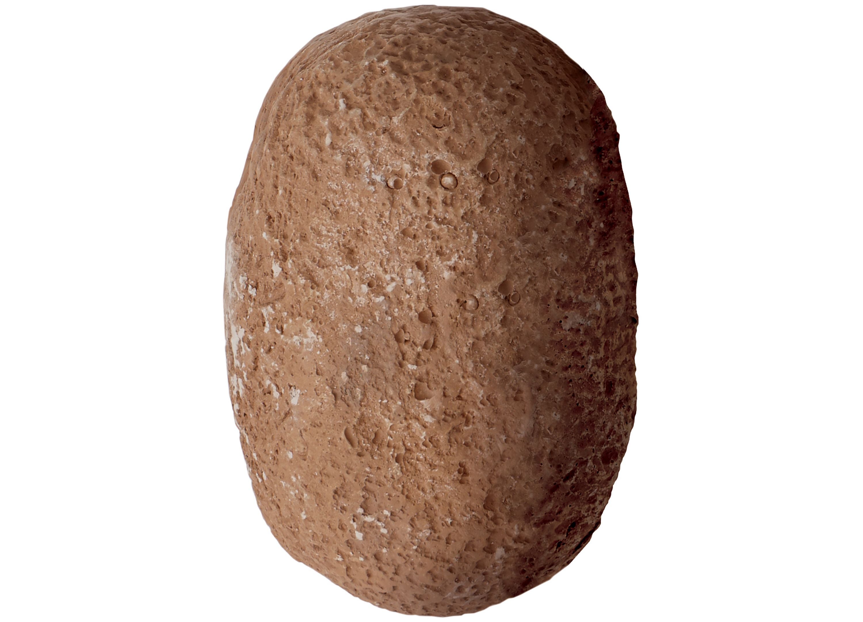 MindWare Dig It Up! Dinosaur Skeletons Excavation Kit - Image 5