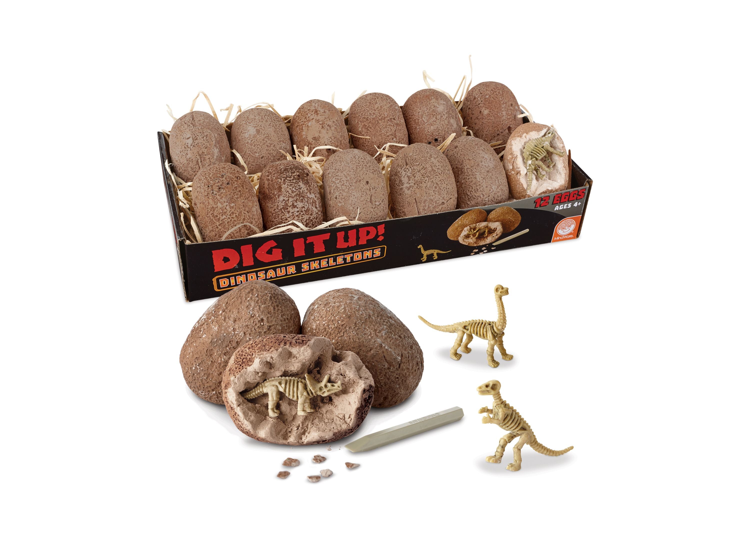 Alternative view of MindWare Dig It Up! Dinosaur Skeletons Excavation Kit