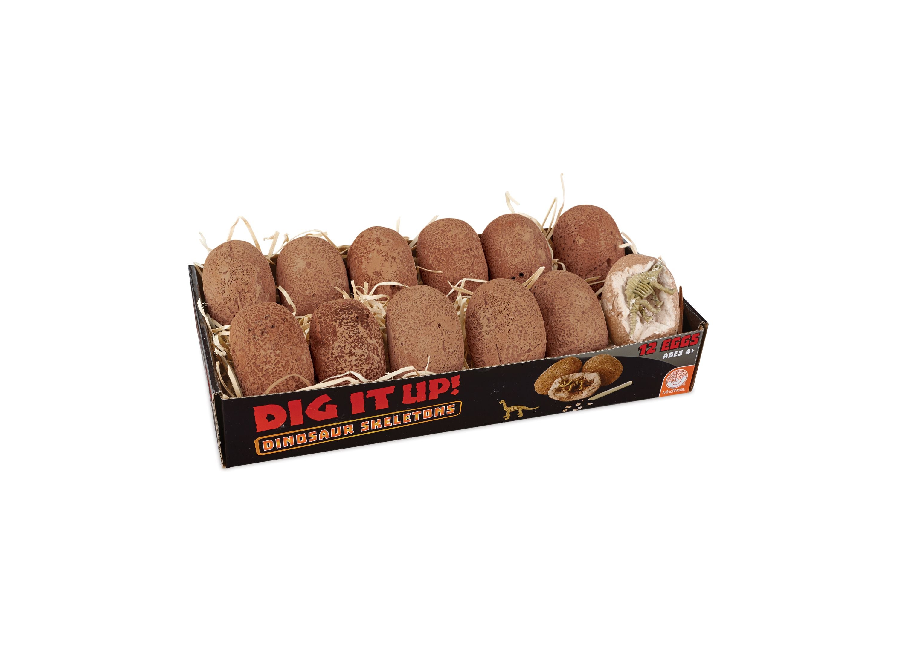 MindWare Dig It Up! Dinosaur Skeletons Excavation Kit - Image 4