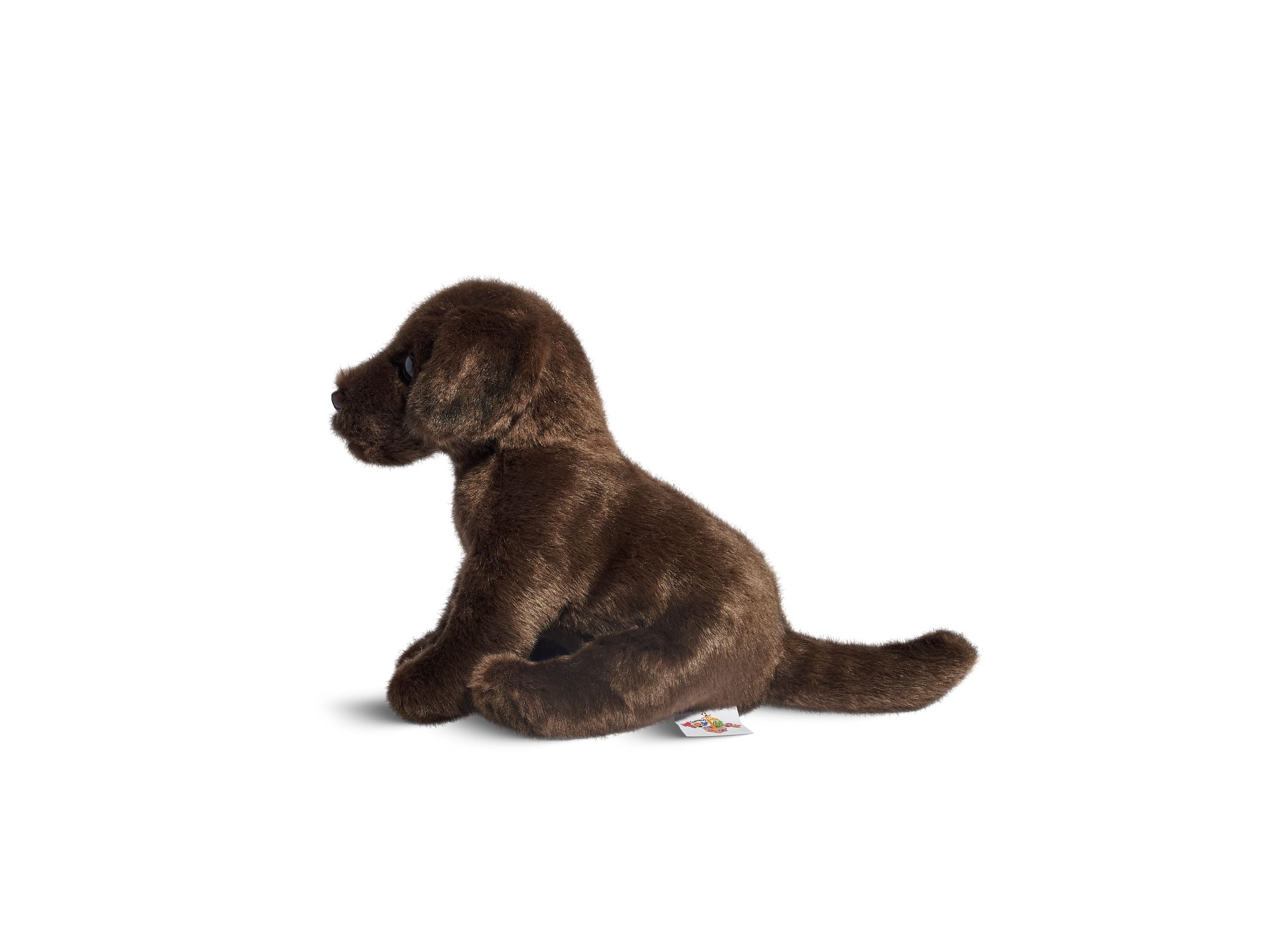 Alternative view of Geoffrey's Toy Box 10-inch Plush Labrador Puppy - Exclusive to Macy's
