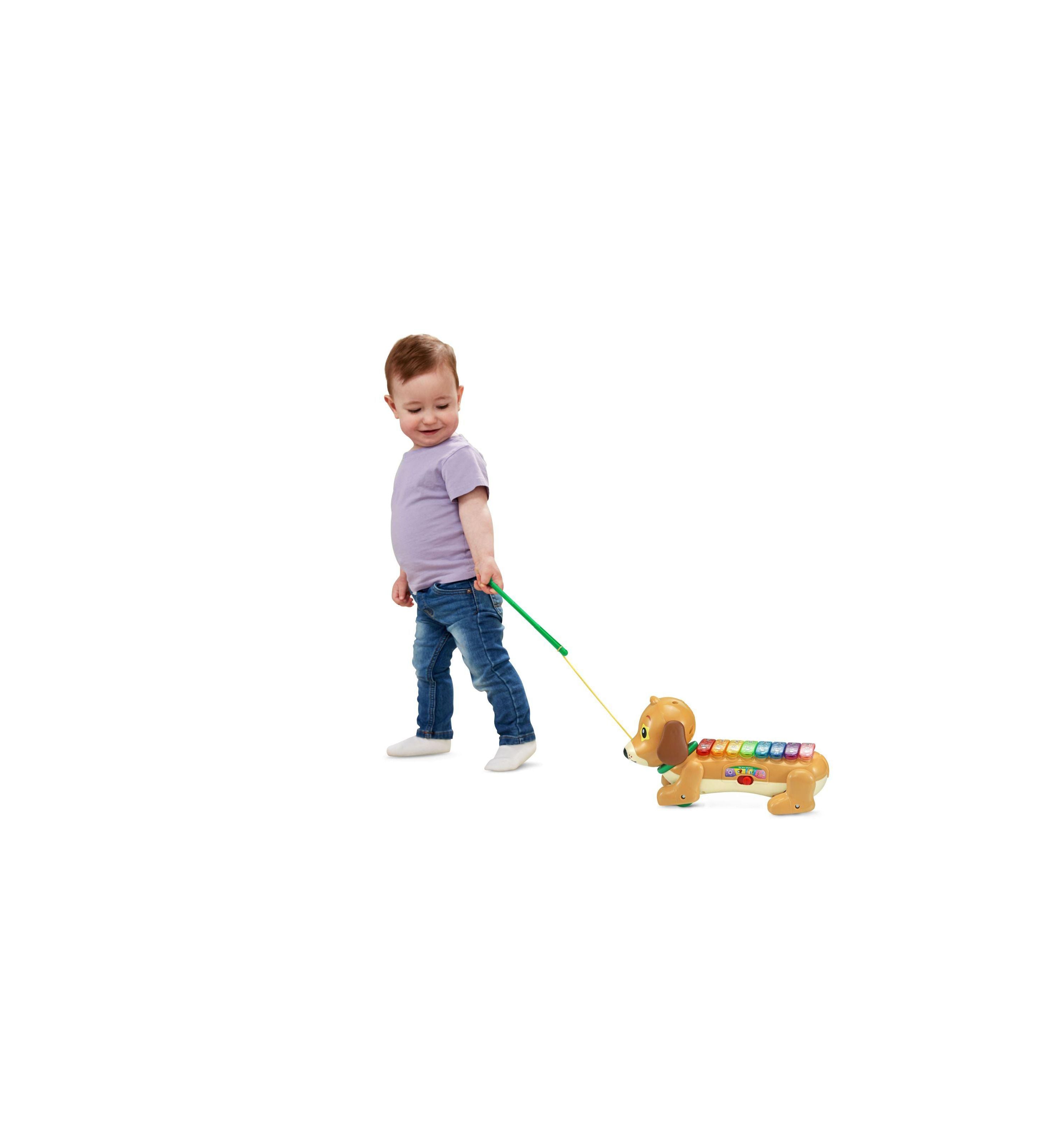 VTech Zoo Jamz Colorful Doggy Xylophone Musical Toy - Image 3