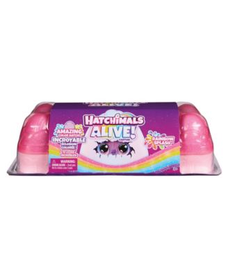 Hatchimals Alive Rainbow Splash Egg Magical Hatch Carton - Image 7