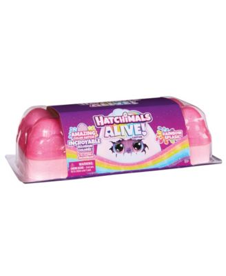 Hatchimals Alive Rainbow Splash Egg Magical Hatch Carton - Image 4