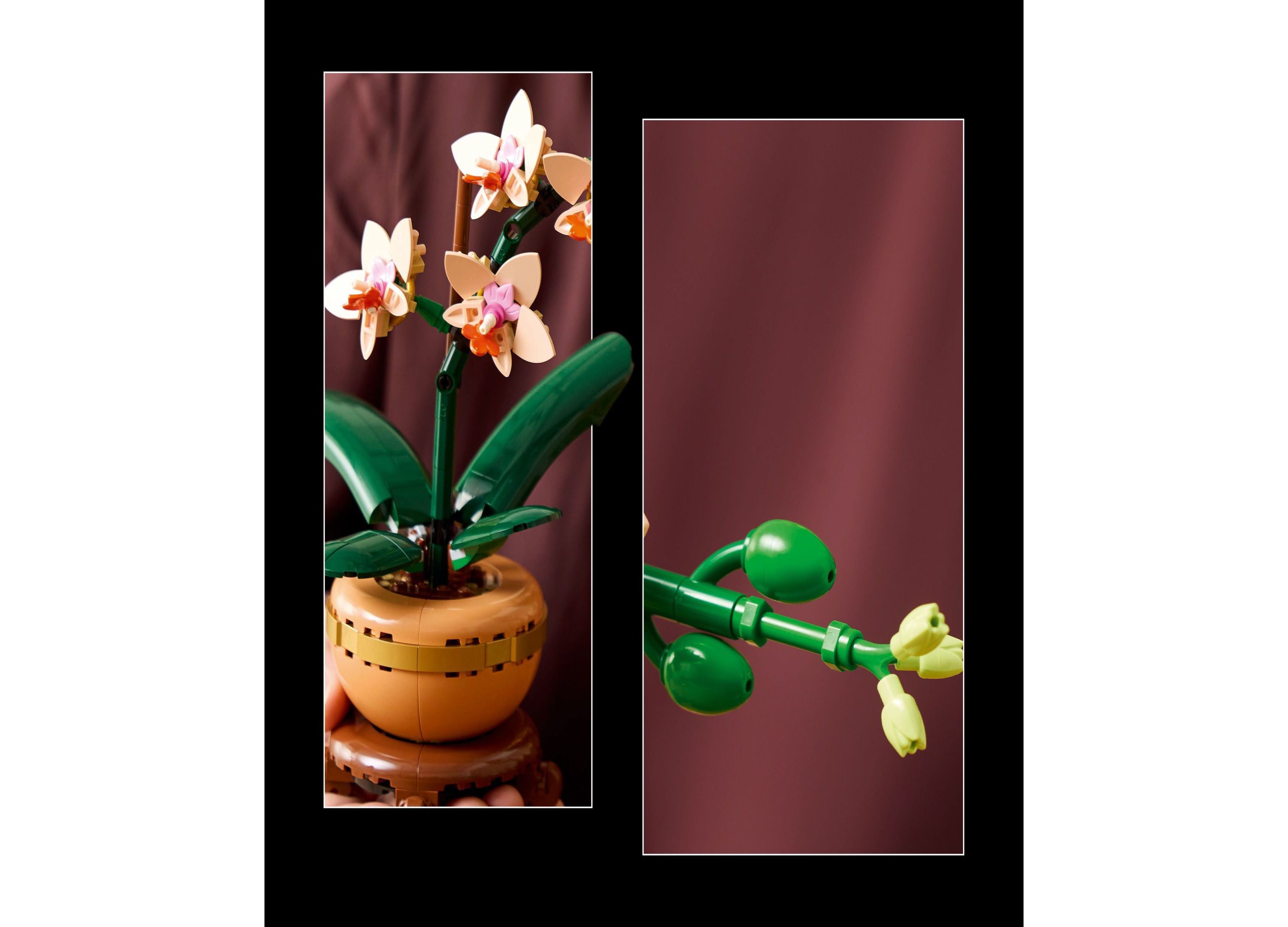 LEGO Botanical Collection Mini Orchid Display Set - 1034 - Image 4