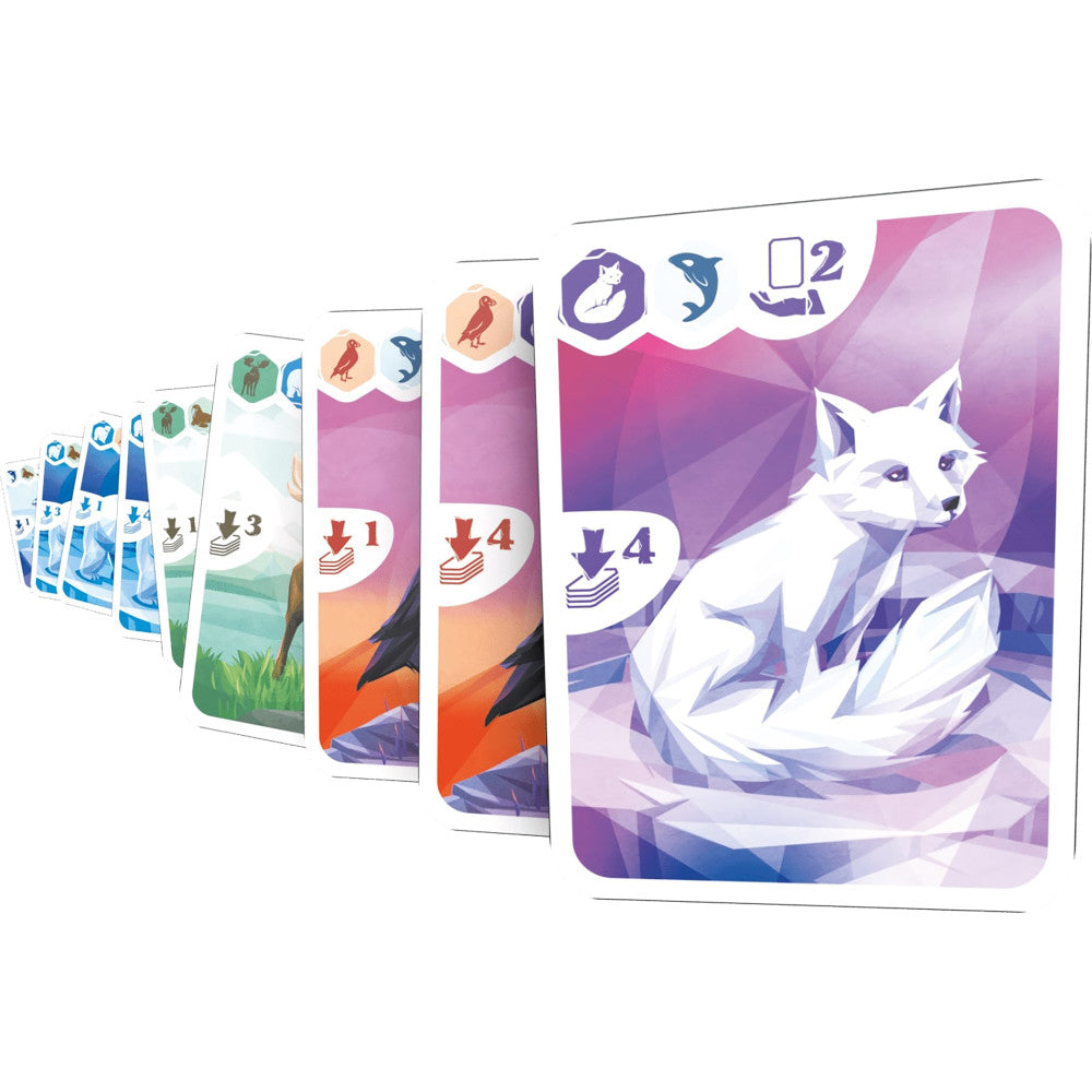 Ludonaute: Arctic - Strategic Arctic Wildlife Card Game - Image 4