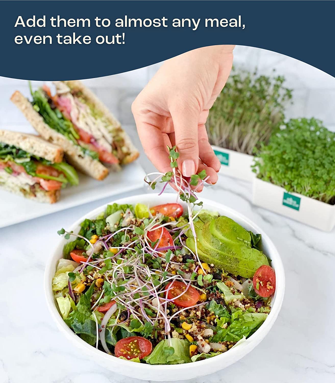 Alternative view of Urban Leaf Microgreen Starter Kit 2022 - Grow Fresh Anywhere