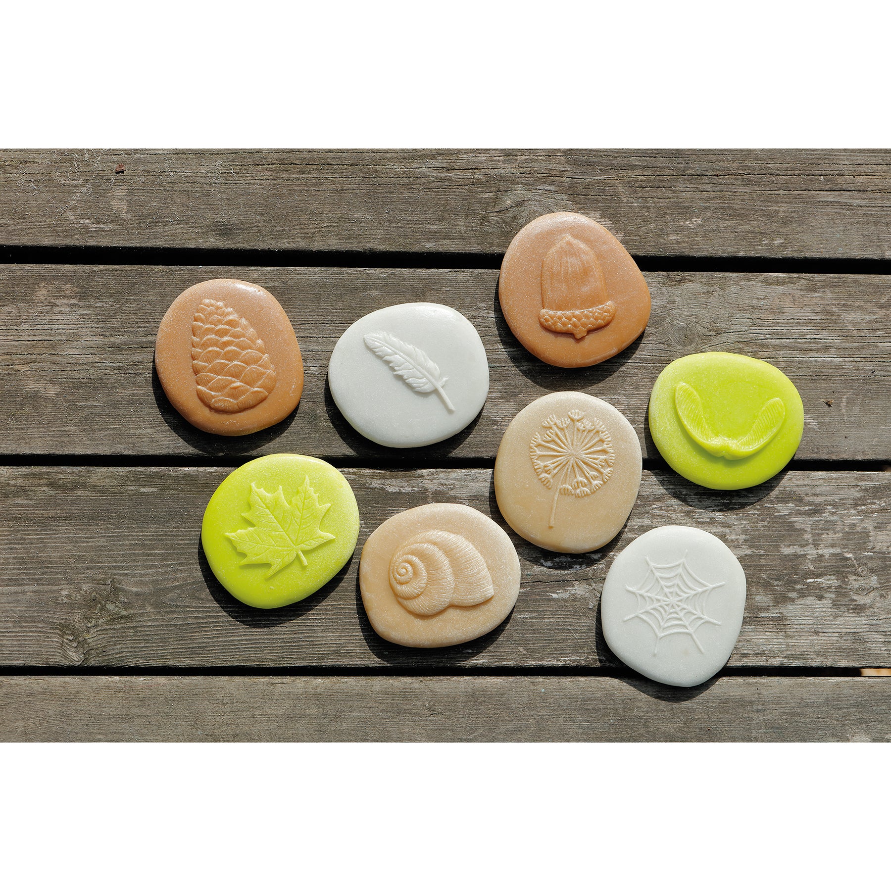 Yellow Door Let's Investigate - Nature Exploration Stone Set - 8 Pieces - Image 4