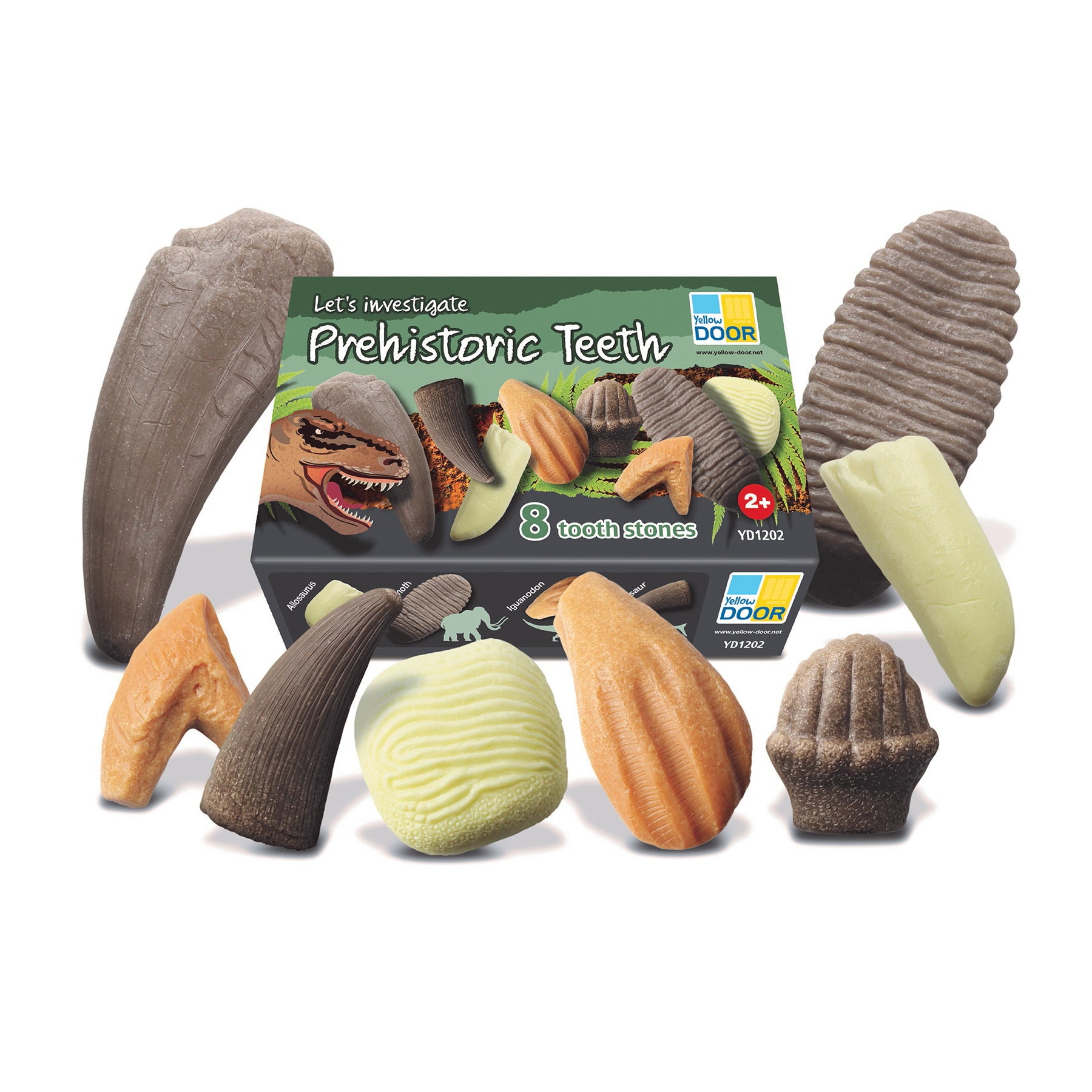 Yellow Door Let's Investigate - Prehistoric Teeth Discovery Set Of 8