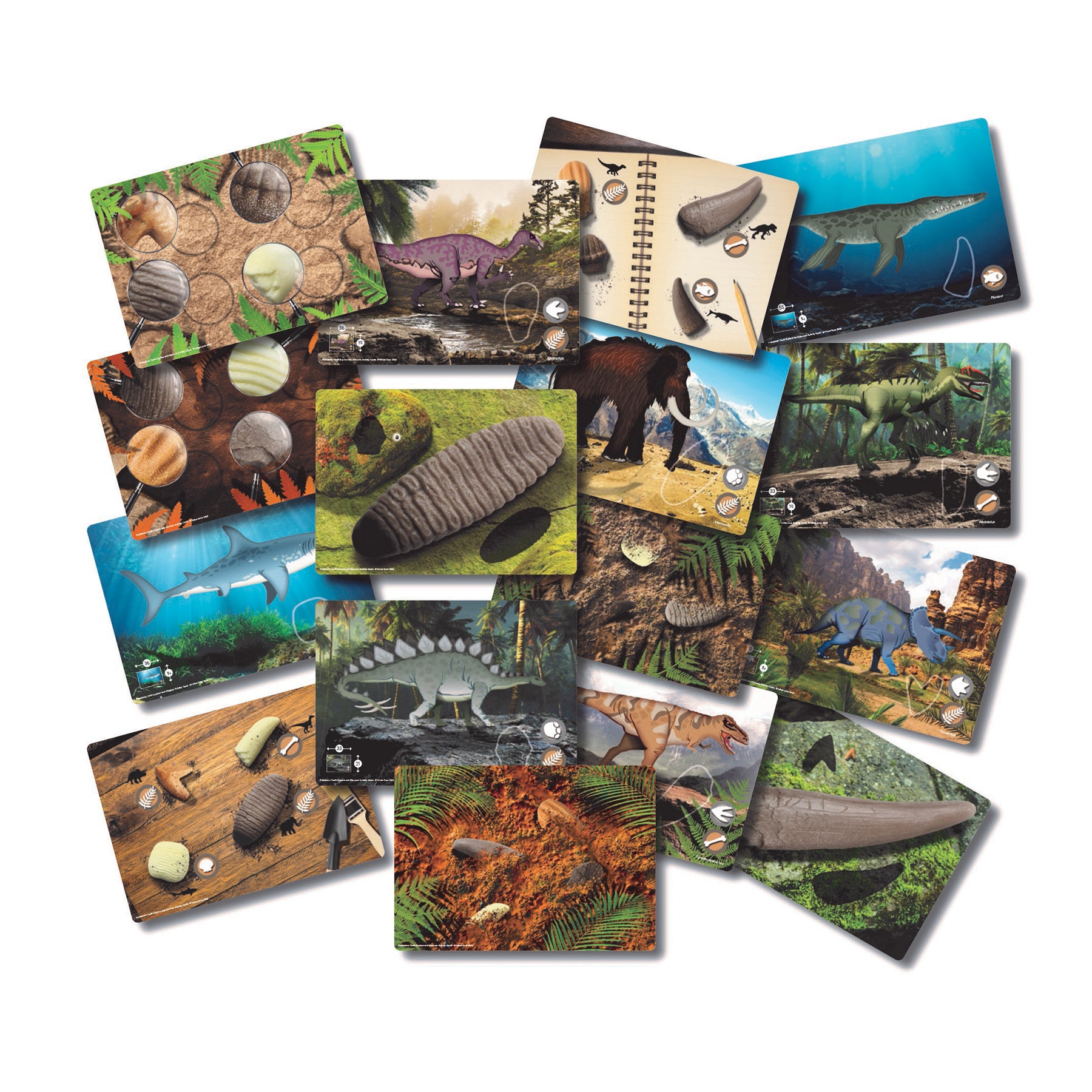 Alternative view of Yellow Door Prehistoric Teeth Activity Cards - Discover Dinosaur Secrets - Set Of 16