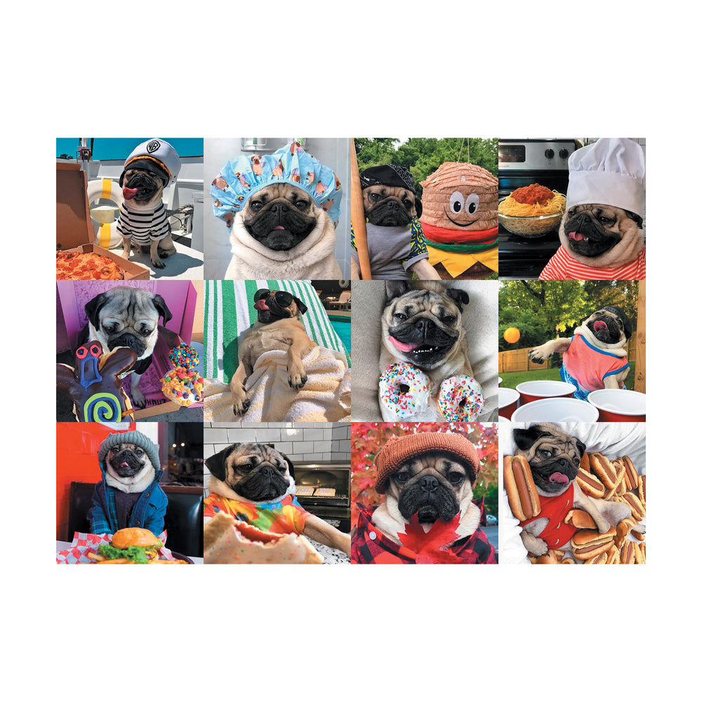 Alternative view of Willow Creek Doug the Pug Life Jigsaw Puzzle - 1000 pc