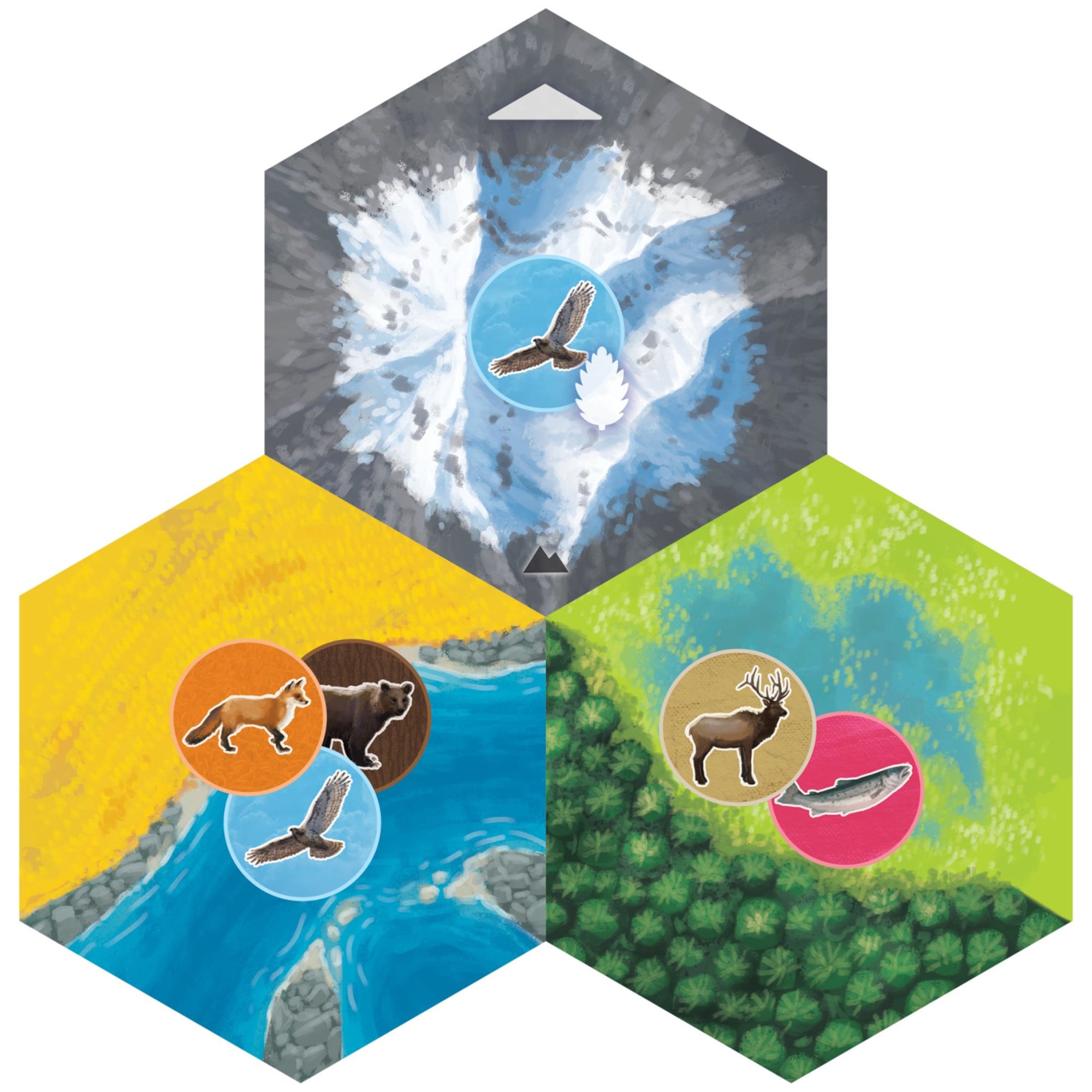 Cascadia Landmarks Expansion Board Game - Puzzle & Tile Placement - Image 6