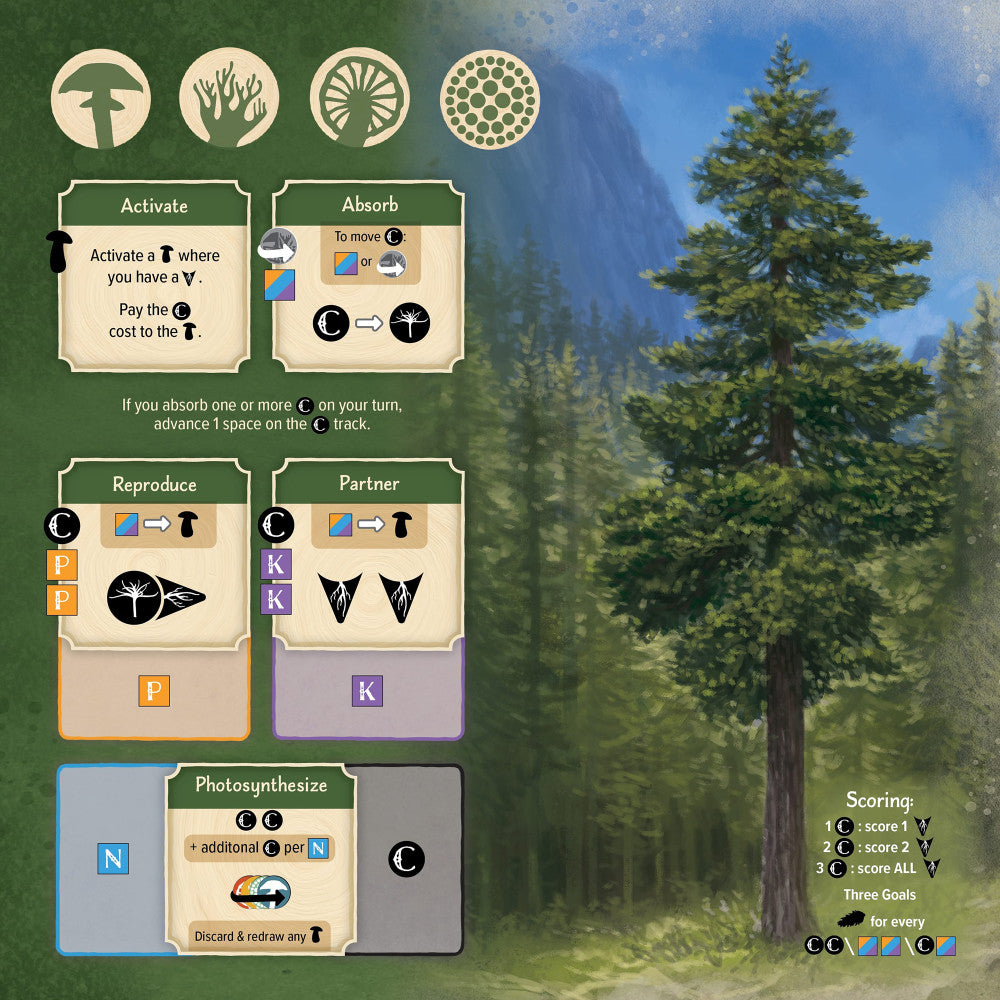 AEG: Undergrove - Forest Fungi Strategy Board Game