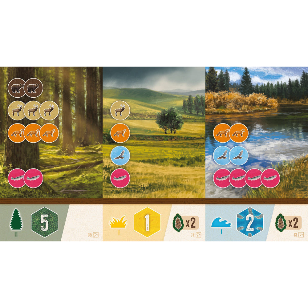 AEG Cascadia: Rolling Hills - Dynamic Flip-Roll-Write Board Game for Families - Image 5