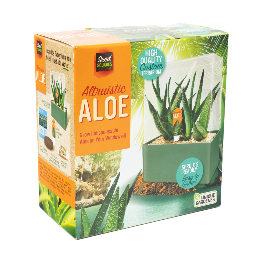 Alternative view of Unique Gardener Altruistic Aloe Seed Square Terrarium Kit