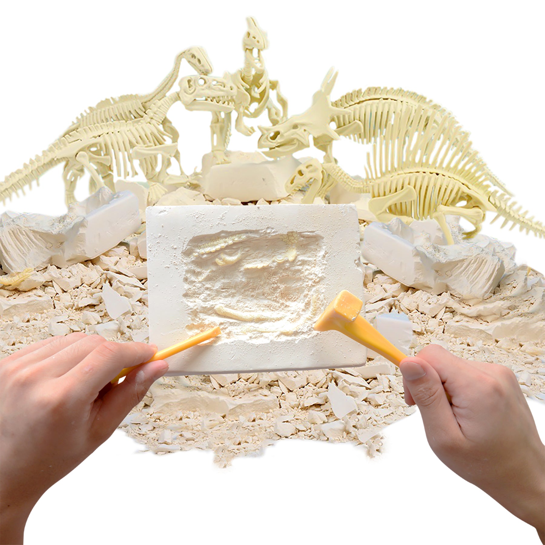 Alternative view of HamiltonBuhl Paleo Hunter Stegosaurus Dig Kit - STEAM Education