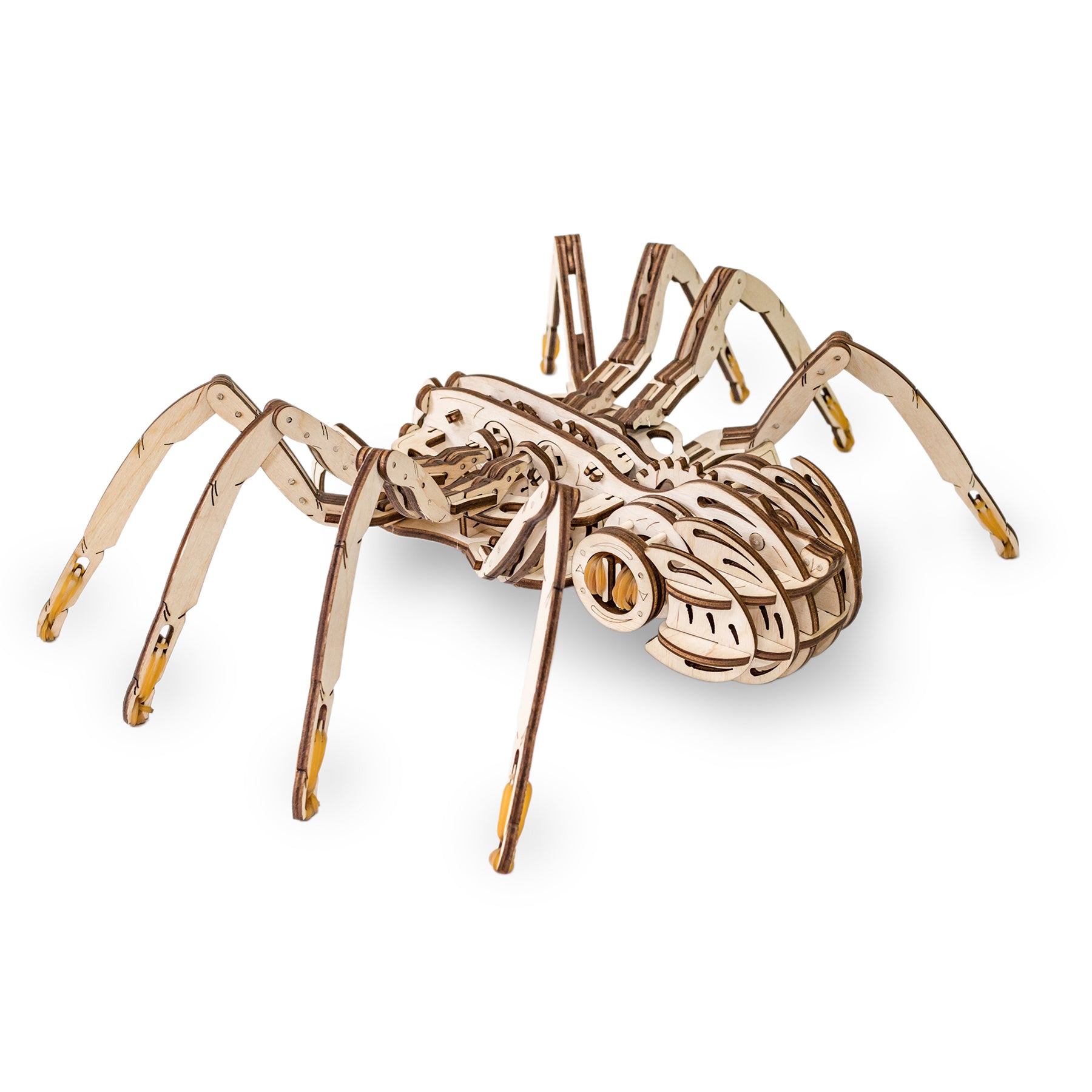 EWA Eco-Wood-Art Spider 3D Wooden STEM Construction Kit - Image 3