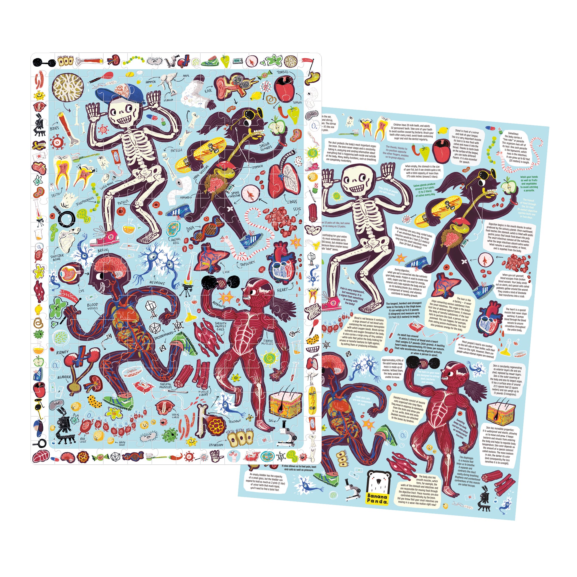 Banana Panda My Body Observation Jigsaw Puzzle - 204 pc - Image 3