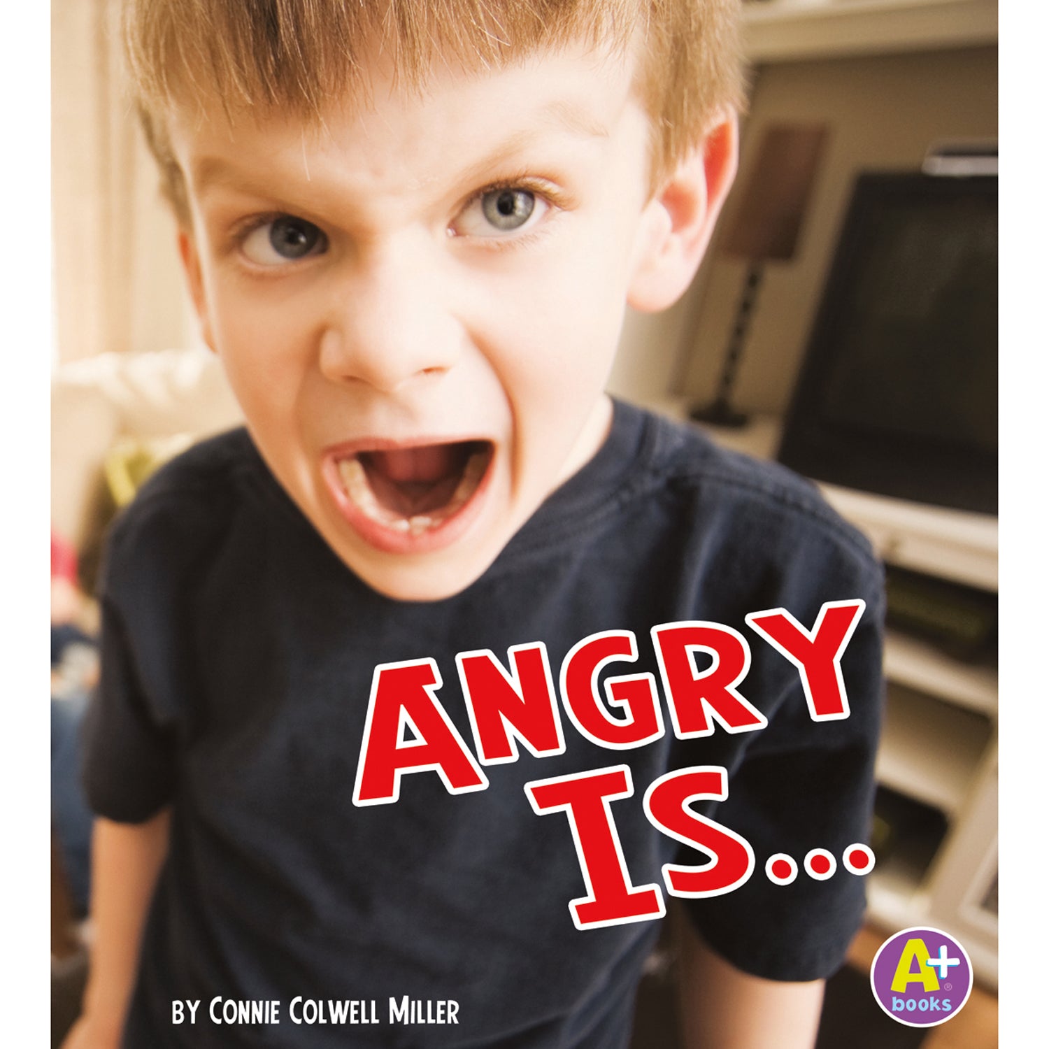 Alternative view of A+ Books Know Your Emotion 4-Book Set