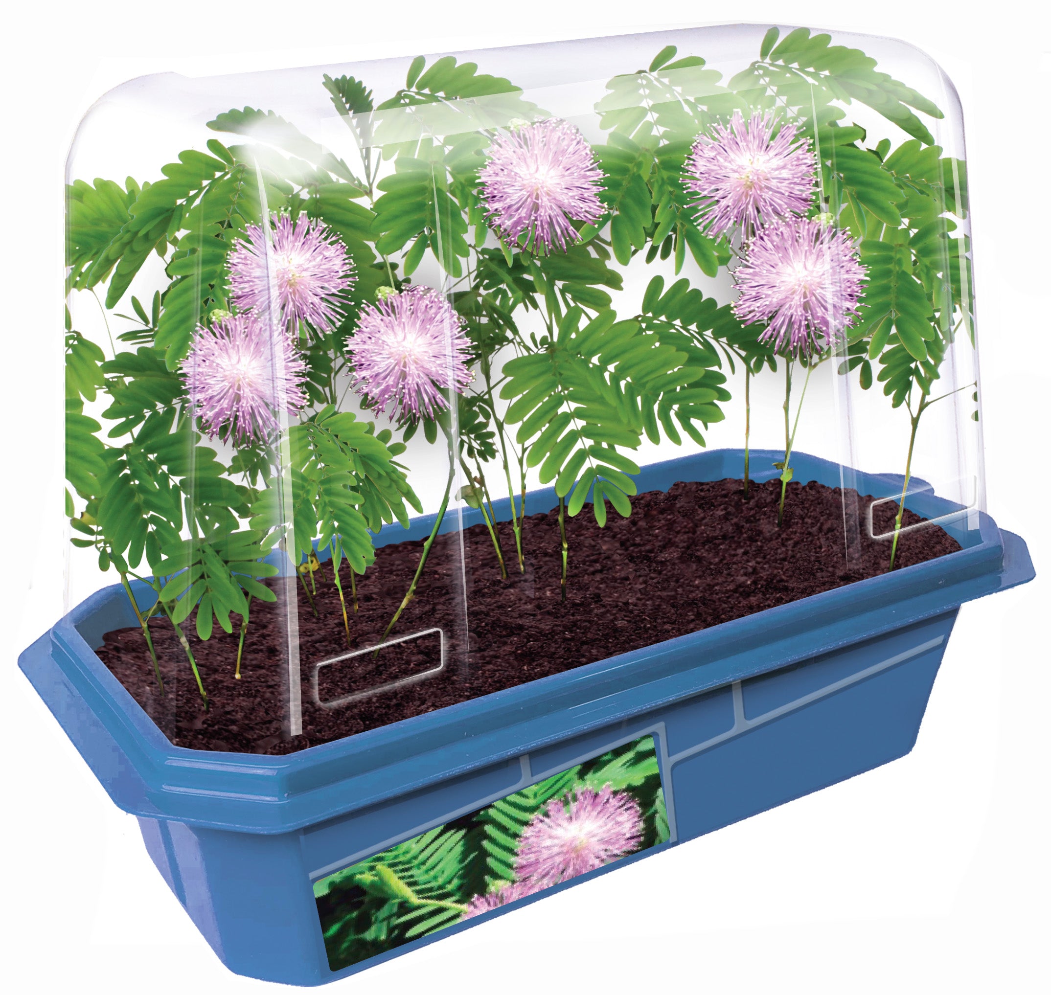Toys R Us Astounding Moving Plant Interactive Botany Kit - Image 2