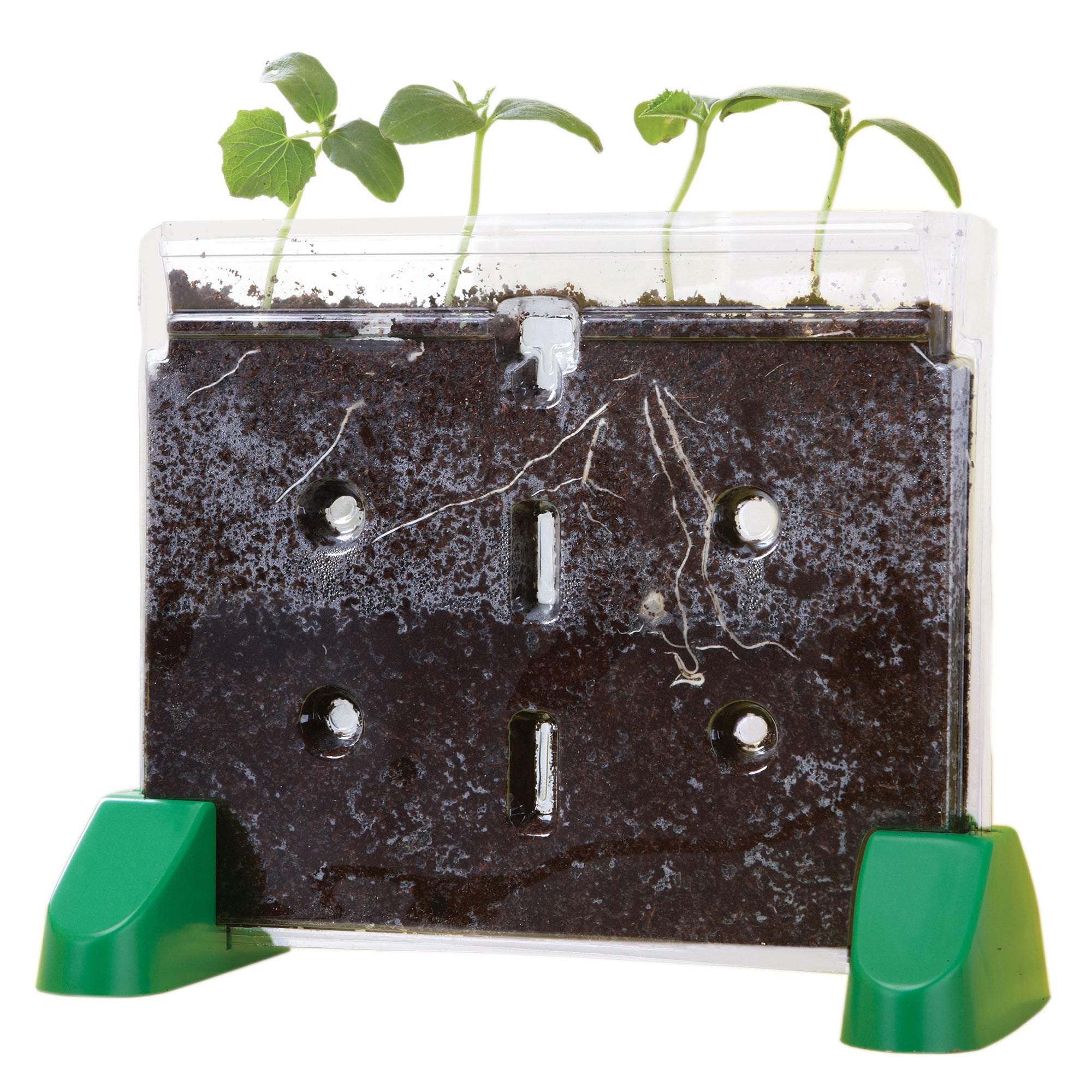 Alternative view of Educational Insights Sprout & Grow Window Plant Science Kit