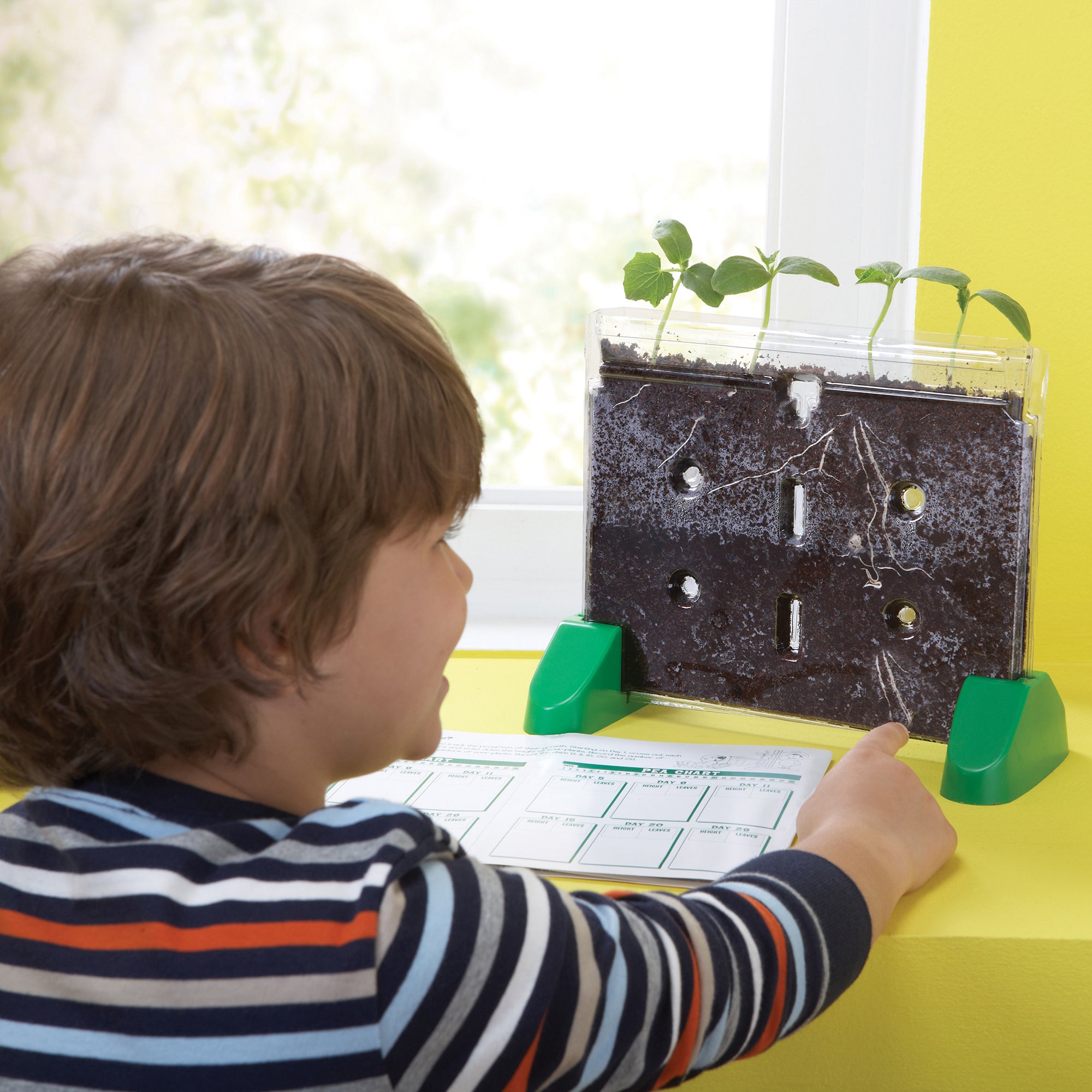 Educational Insights Sprout & Grow Window Plant Science Kit - Image 4