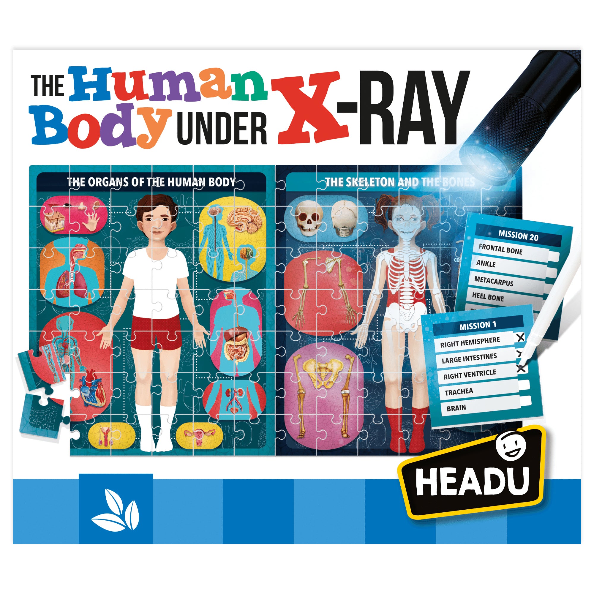 Headu X-Ray Vision Human Body Exploration Kit - Image 3