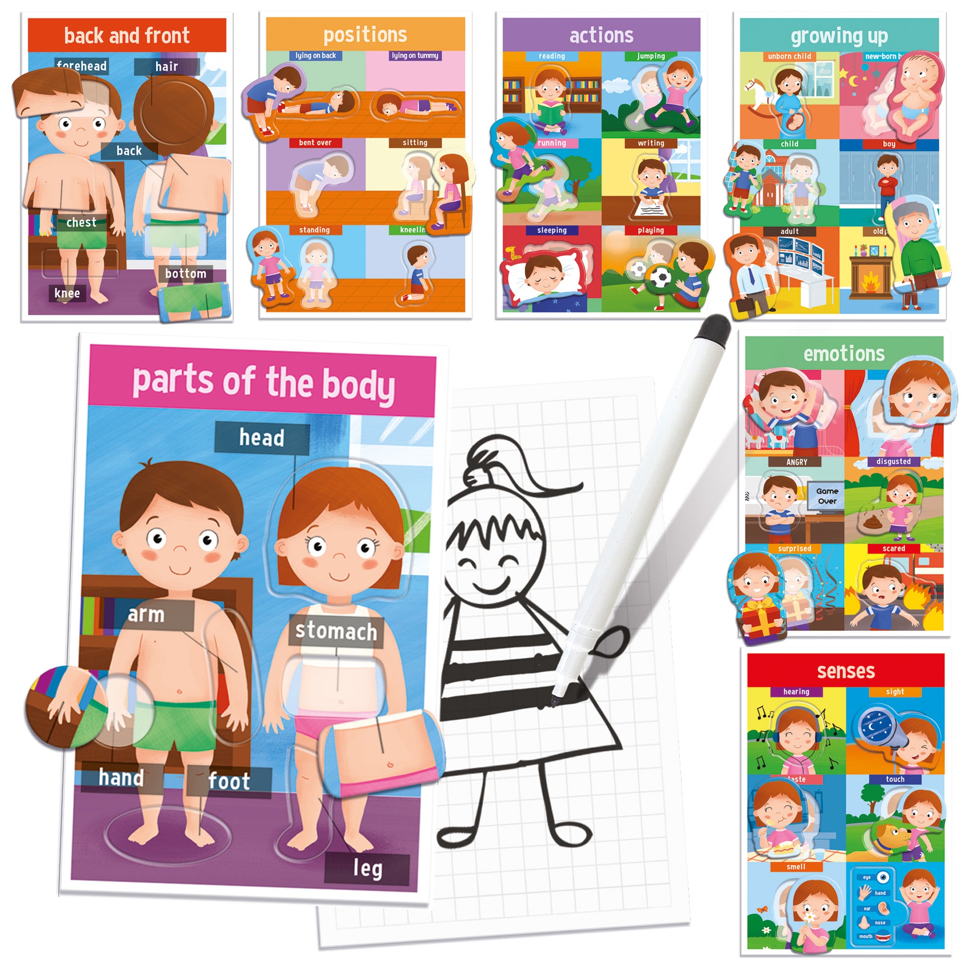 Alternative view of Headu My First Human Body Game - Discover Anatomy Fun