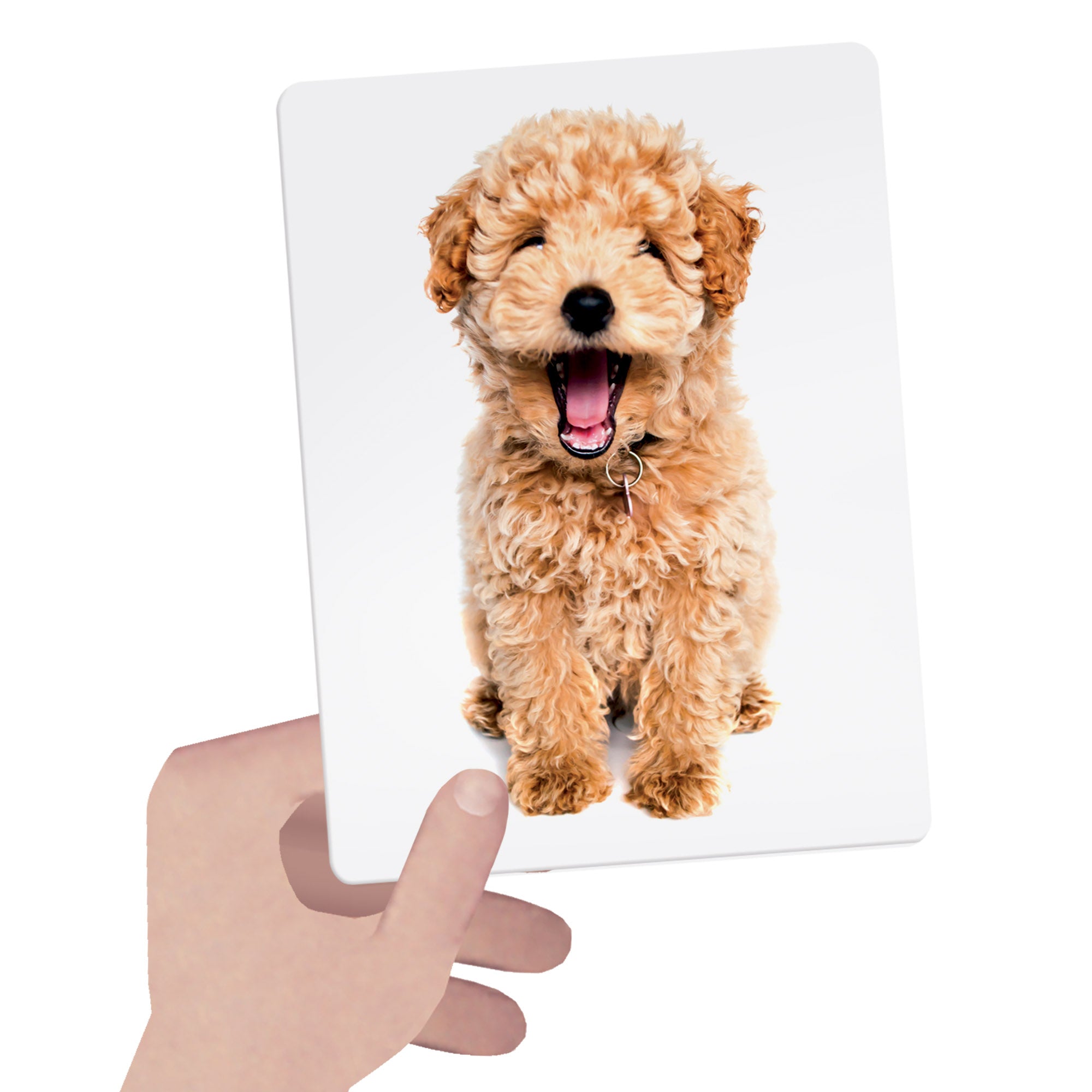 Headu Montessori Touch & Feel Flashcards - Sensory Exploration Toy - Image 4