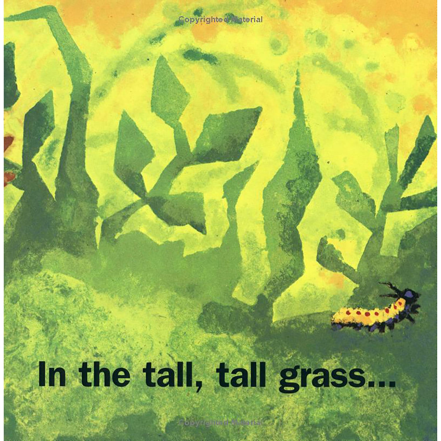 In the Tall, Tall Grass Big Book by Macmillan Publishers - Image 3