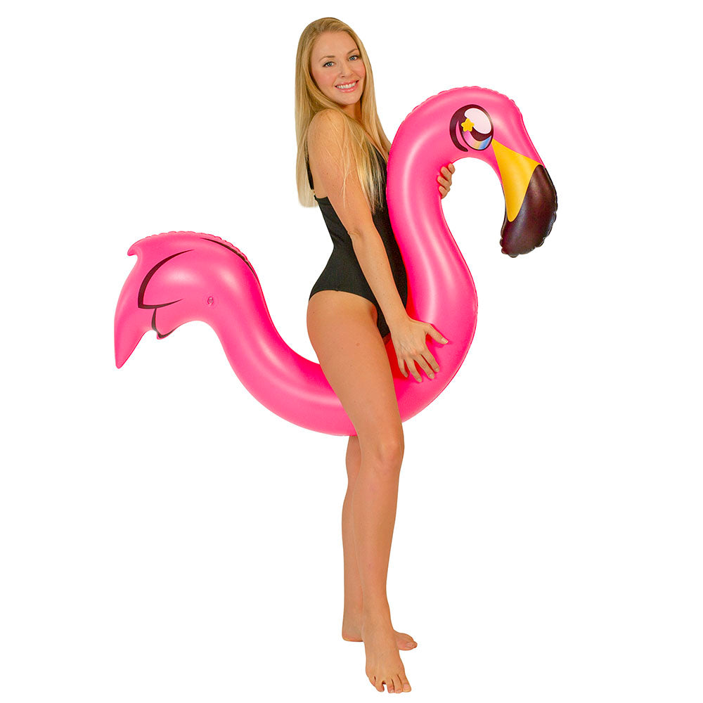 PoolCandy Vibrant Flamingo Ride-On Noodle Float - Image 2