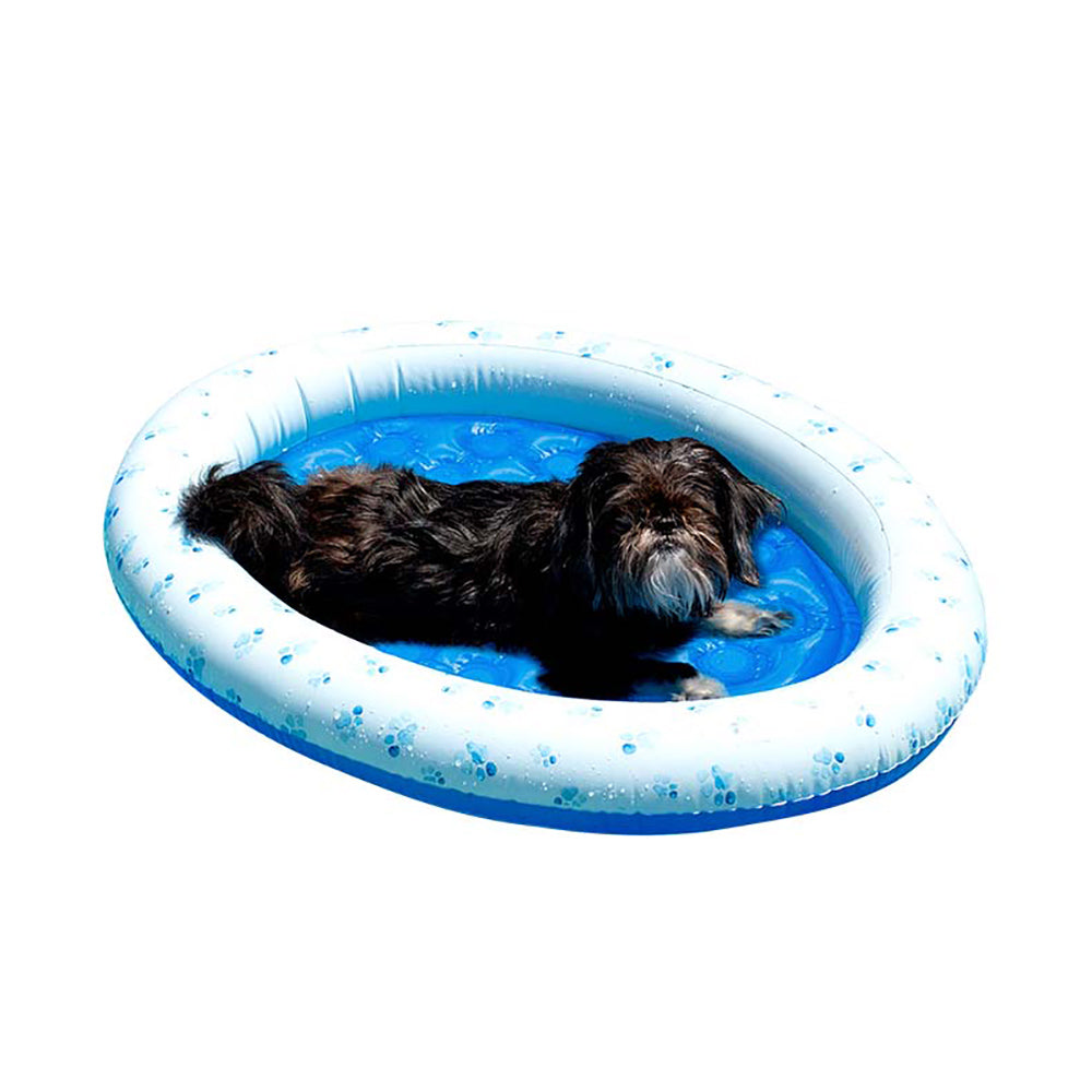Paws Aboard! Small Dog Inflatable Pool Float