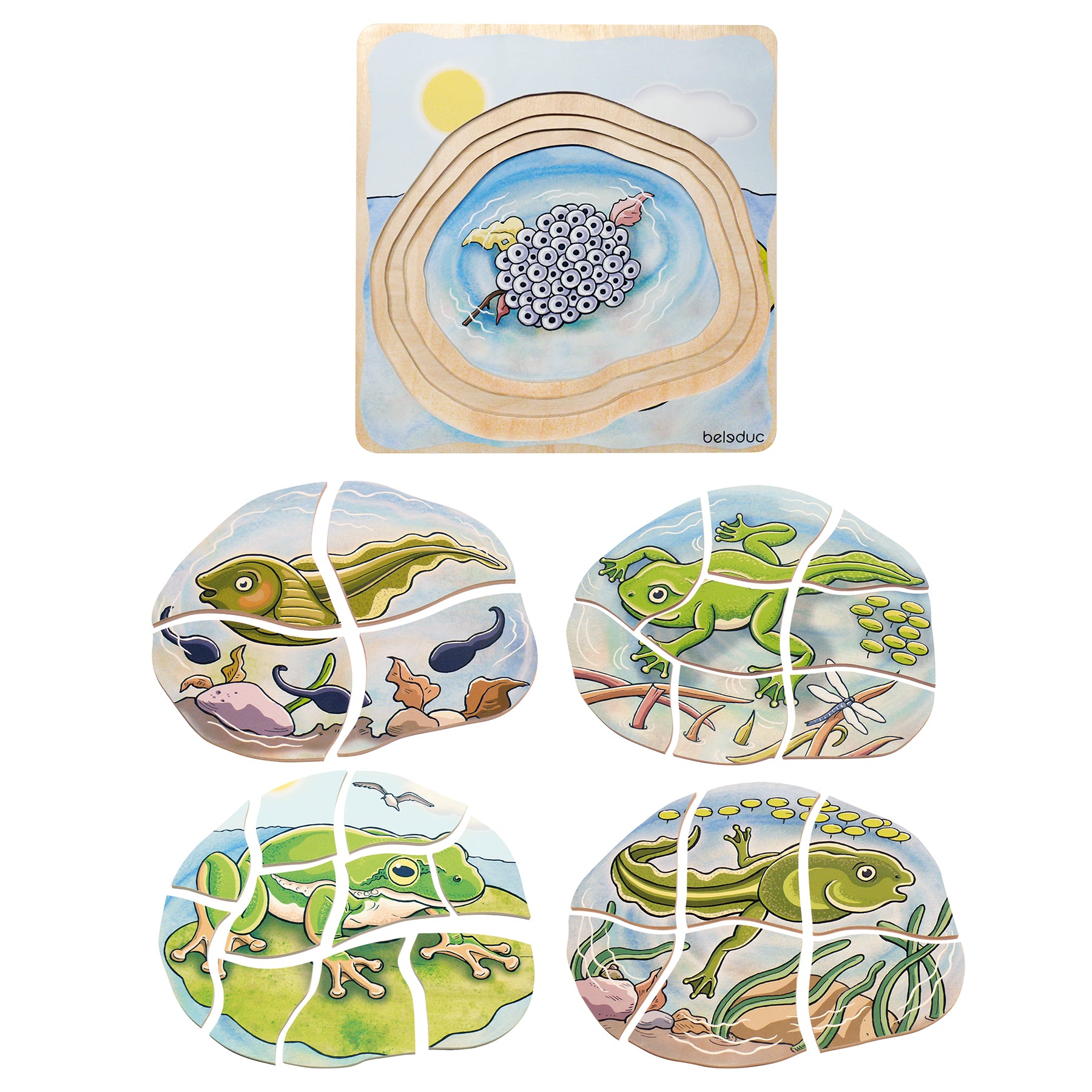 Beleduc Layer Puzzle - Frog Lifecycle - 5 Wooden Layers - 28 Pieces