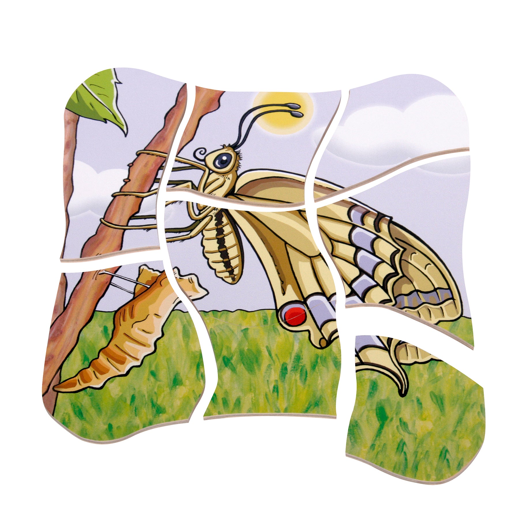 Beleduc Layer Puzzle - Transformative Butterfly Lifecycle - Image 3