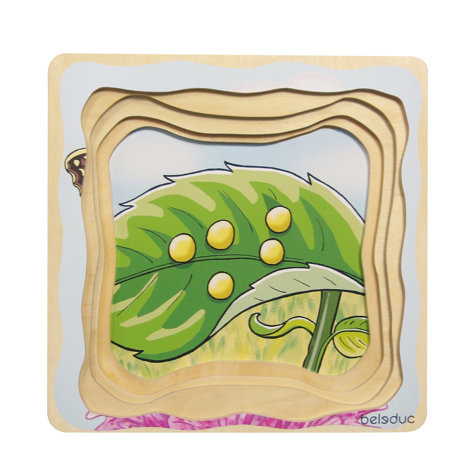 Beleduc Layer Puzzle - Transformative Butterfly Lifecycle - Image 5