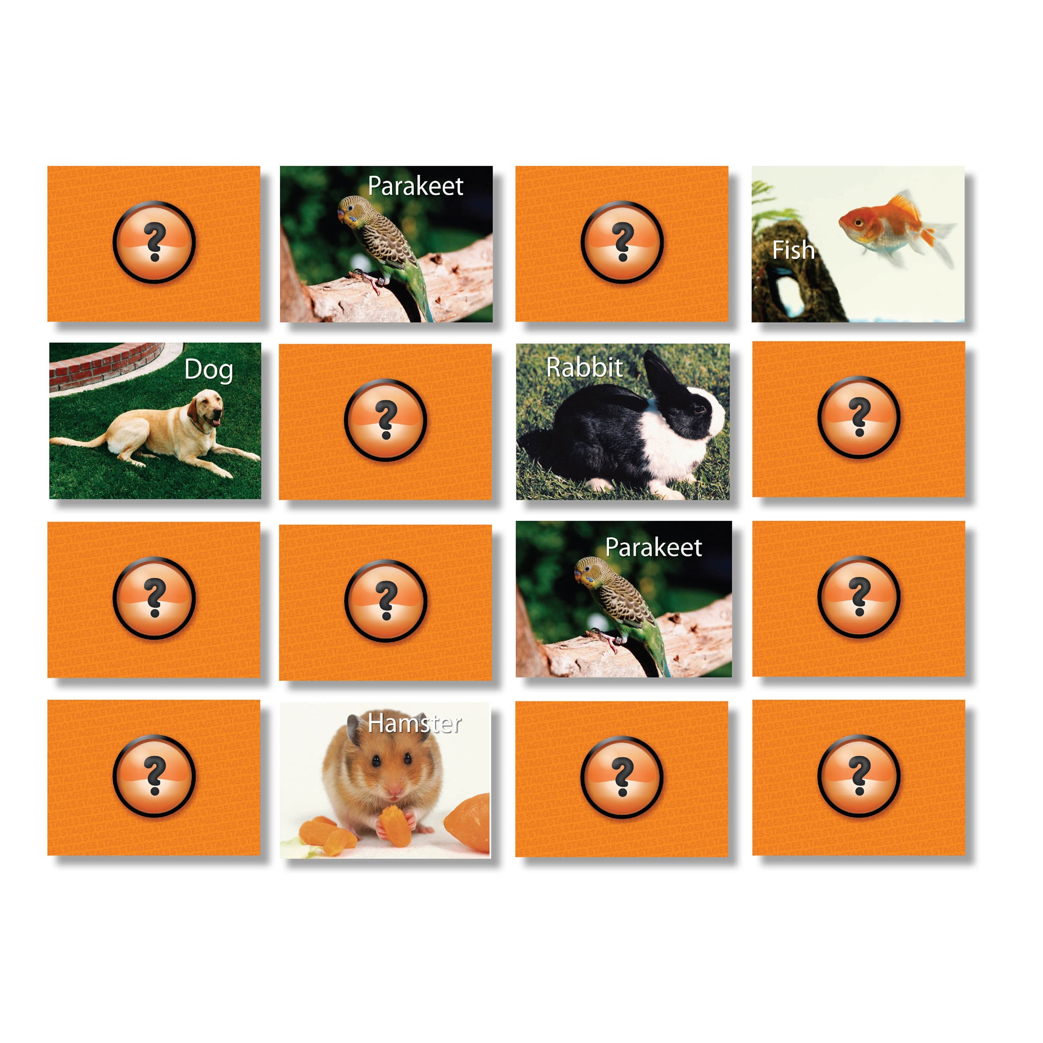Stages Learning Pets Memory Matching Game - Photographic Cards - Pack of 3 - Image 3