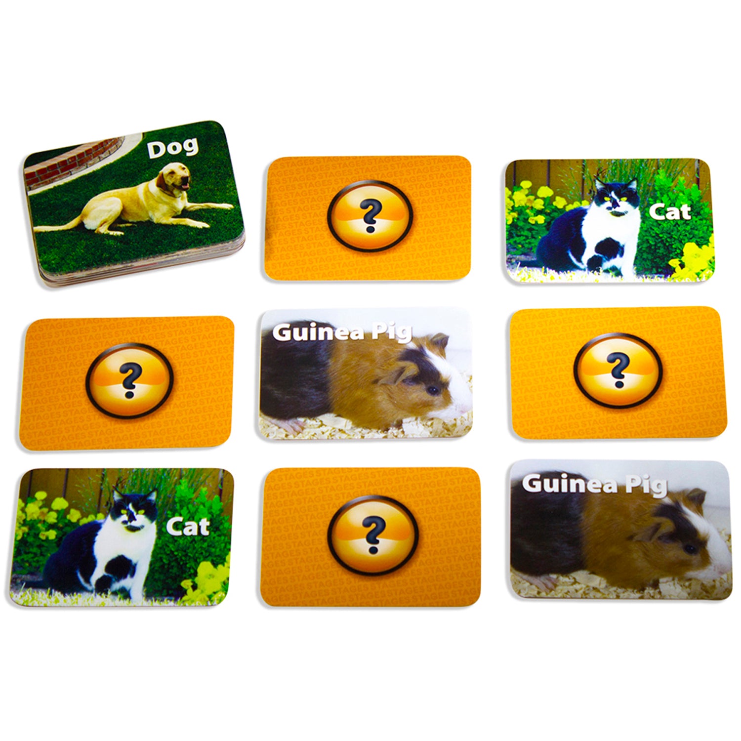 Stages Learning Pets Memory Matching Game - Photographic Cards - Pack of 3 - Image 5