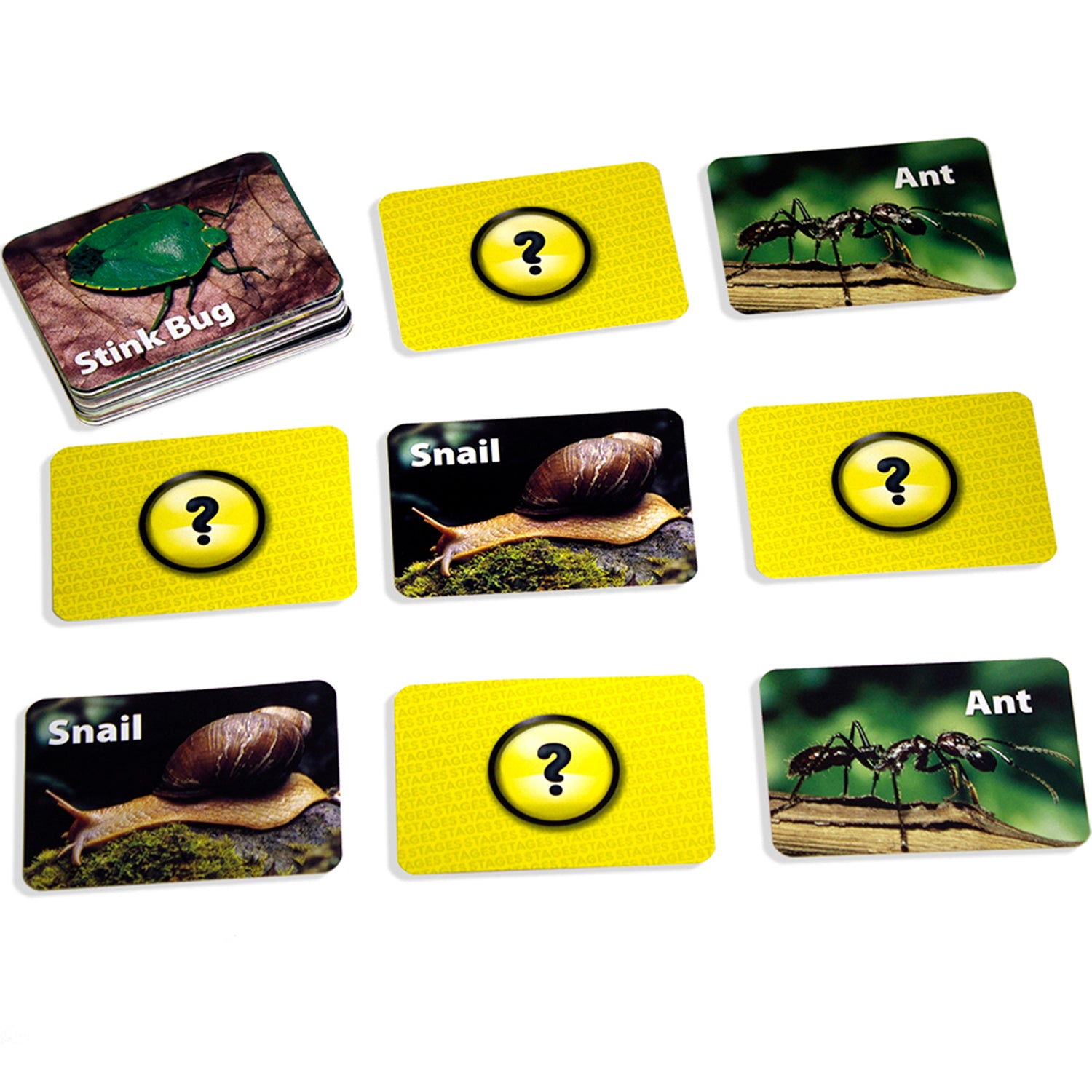 Stages Learning Materials - Memory Matching Game - Insects & Bugs - 3 Pack - Image 3