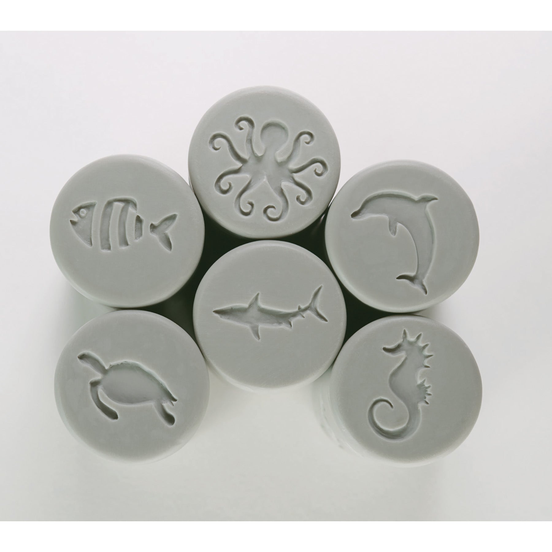 Yellow Door Let's Roll ?C Ocean Life Exploration Rollers, Set Of 6 - Image 3