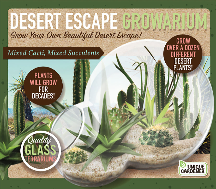 Alternative view of Desert Escape Growarium: Exquisite Miniature Desert Ecosystem
