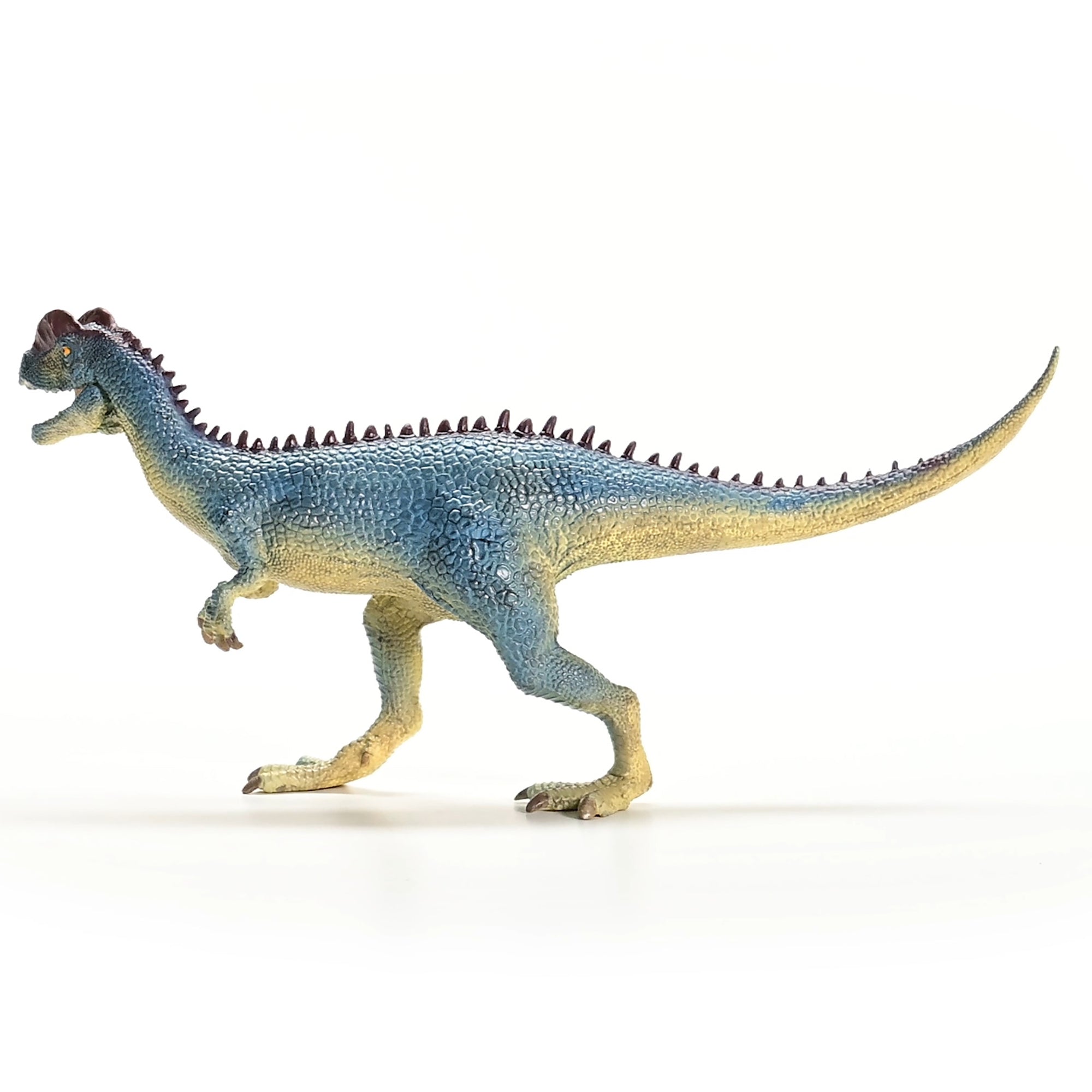 Schleich DINOSAURS 9" Dilophosaurus Figurine with Movable Jaw, Red-Blue - Image 5