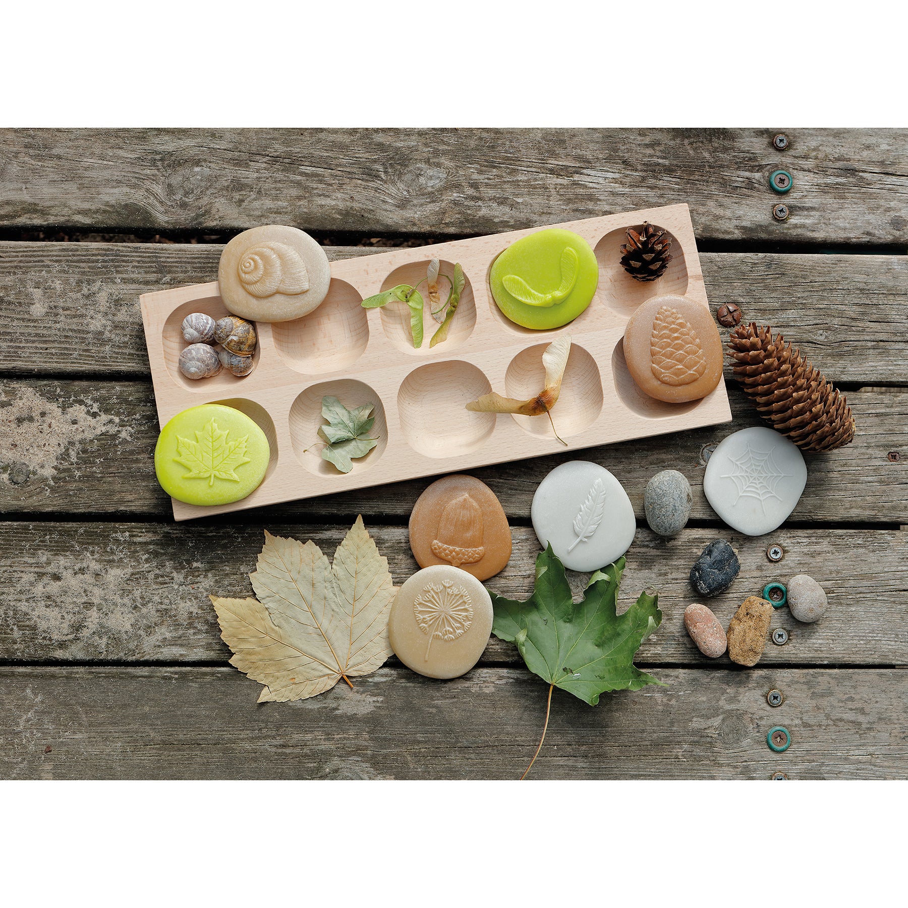 Yellow Door Let's Investigate - Nature Exploration Stone Set - 8 Pieces - Image 5