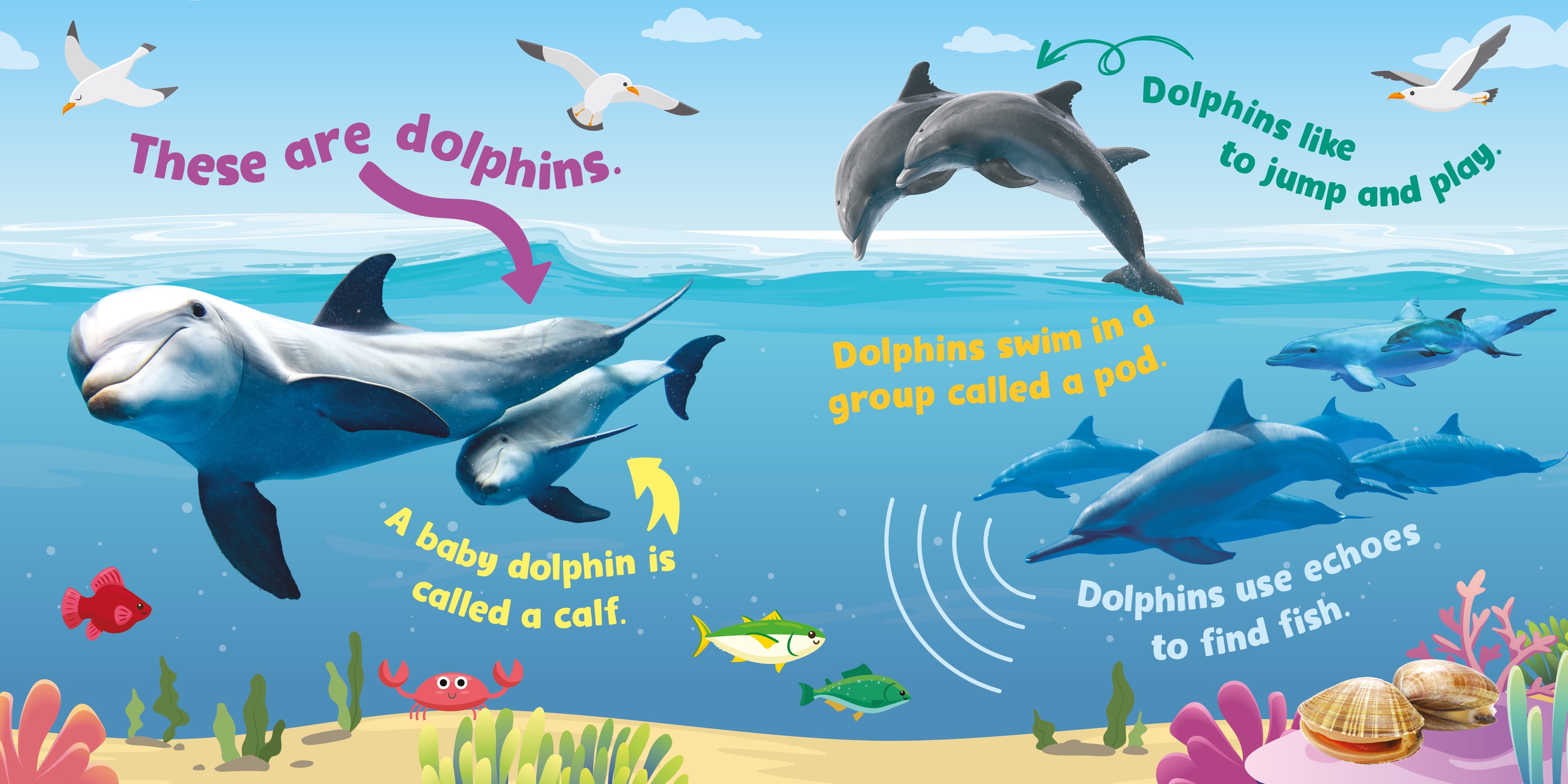Alternative view of Ocean Discovery 5-Button Sound Board Book by Kidsbooks Publishing