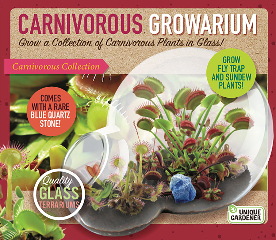 Alternative view of Carnivorous Growarium Deluxe Terrarium Kit for Carnivorous Plants