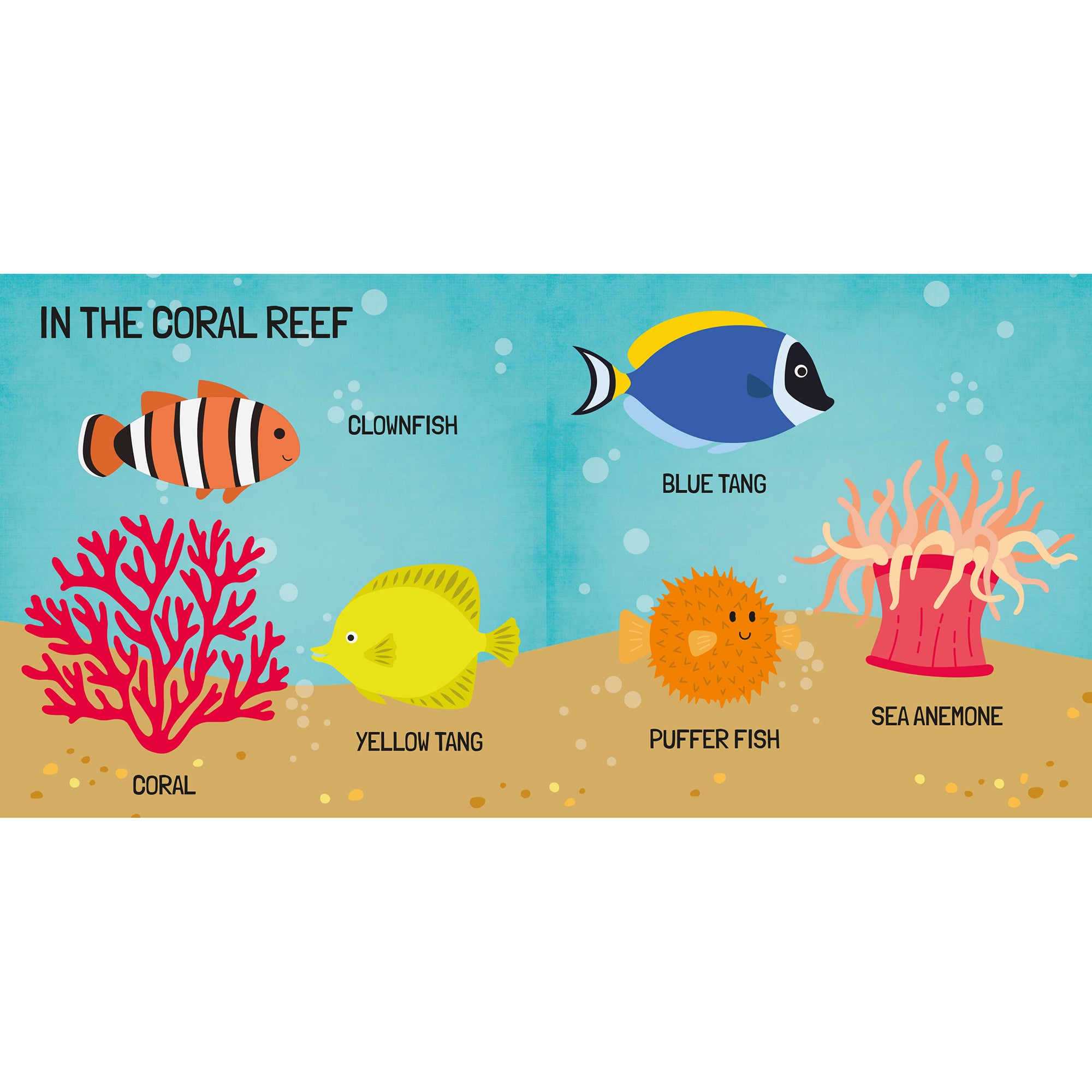 Q-Box Marine Adventure Puzzle Set - 40 pc - Image 4