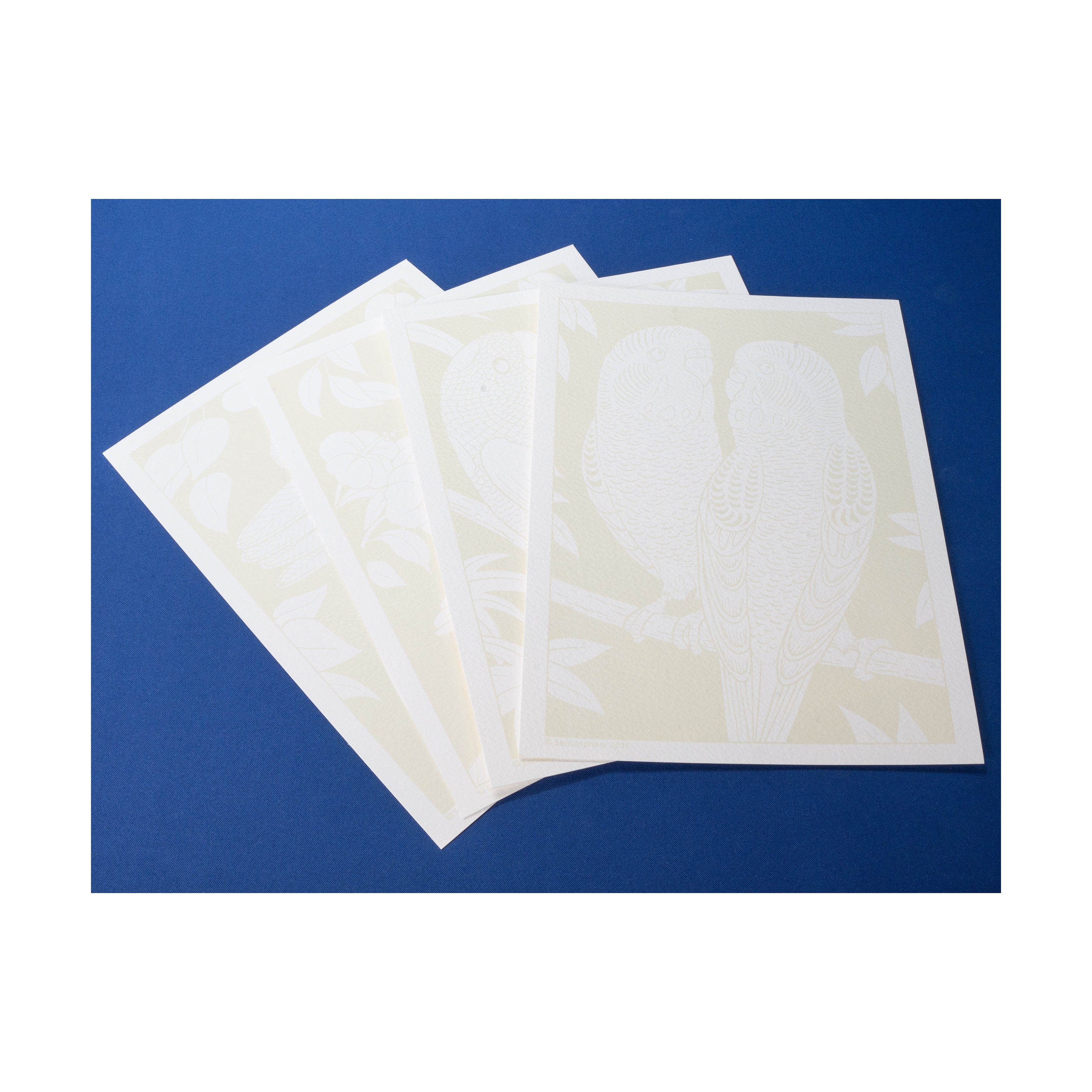 Aquarellum Junior Parrots Watercolor Art Kit - Image 5