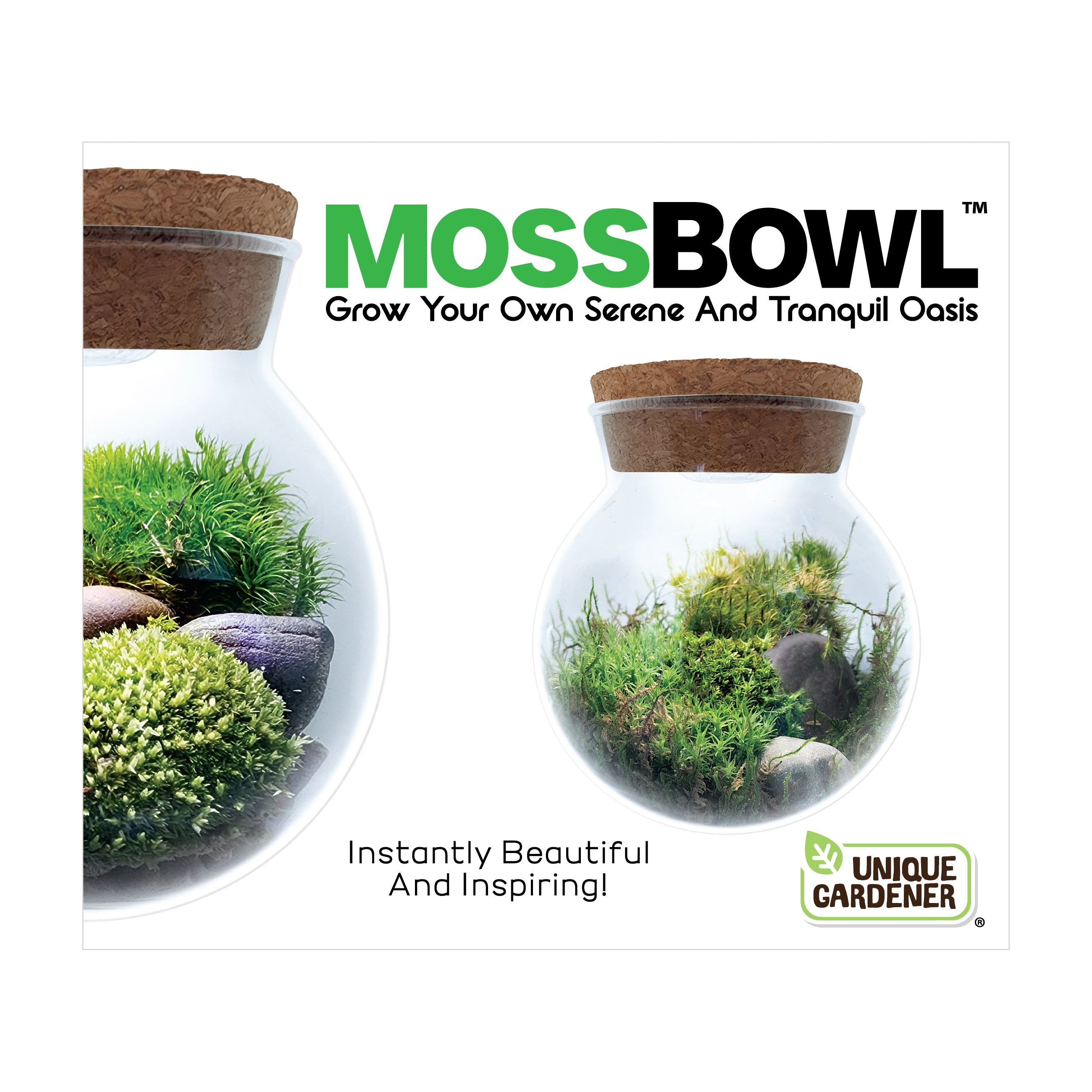 Alternative view of MossBowl - Cultivate Your Personal Green Zen Space